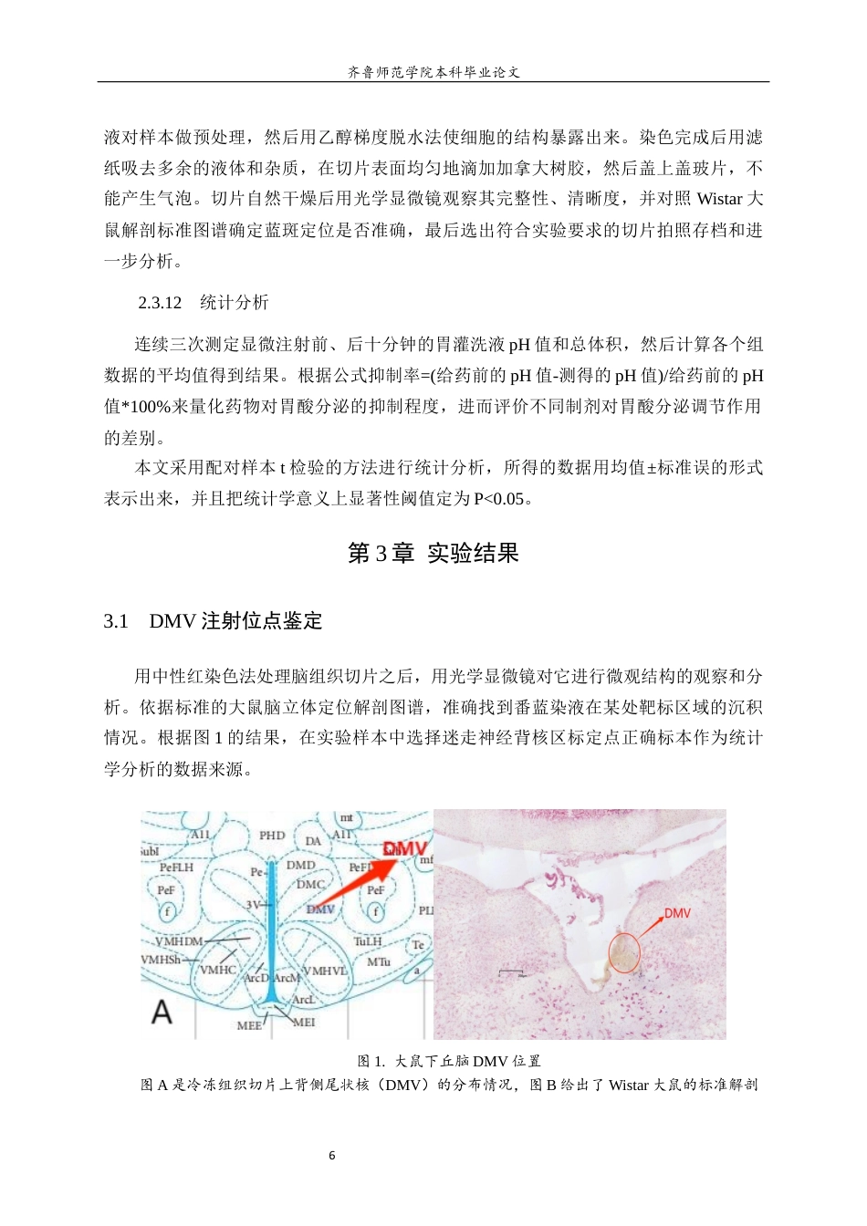 26年WH生物科学本科 大鼠迷走神经背核中内源性H₂S调控胃酸分泌的AC-cAMP路径研究9.27-AI1.24-约10876字符(8353字).docx_第10页