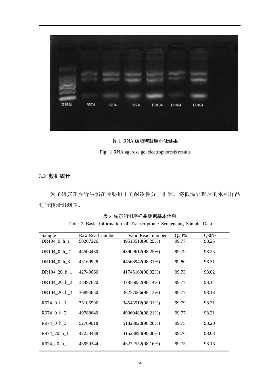 26年WH生物科学 基于转录组测序的东乡野生稻苗期耐冷性分子机制解析2.99-AI20.87-约11784字符.docx_第10页