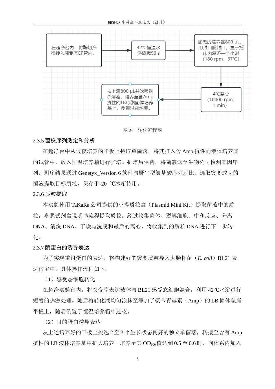 26年WH生物科学 丙氨酸消旋酶底物通道内层门户周边位点M137的作用机制初探23.71-AI34.05-约12148字符.docx_第10页