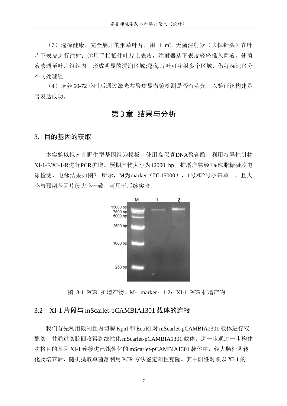26年WH生物科学本科 肌球蛋白MyosinXI-1-mSarlet重组载体的构建21.36-AI-约12911字符.doc_第10页