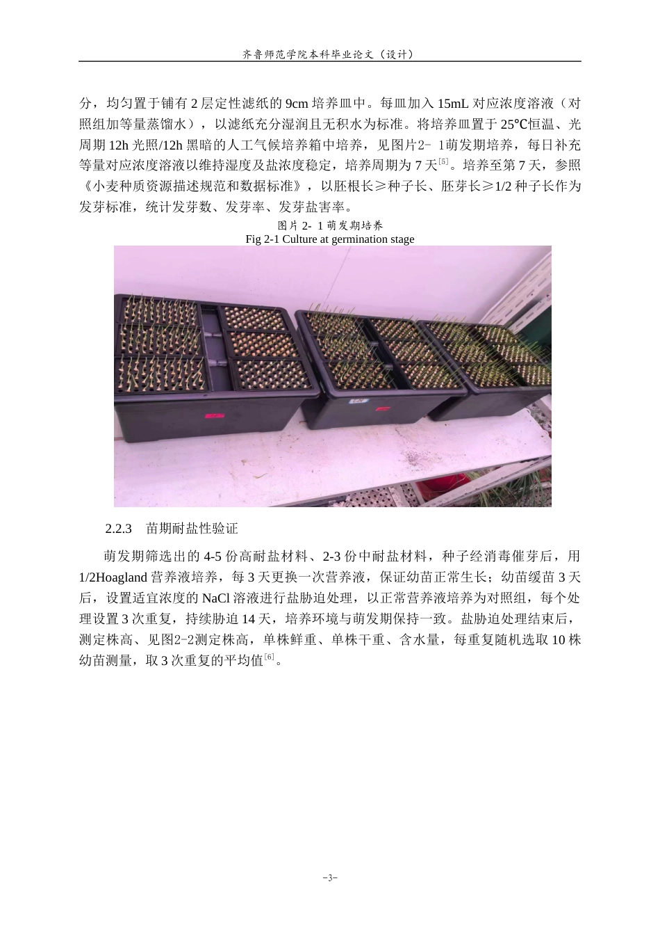 26年WH生物科学 彩色小麦耐盐材料的筛选与鉴定16.79-AI45.3-约9639字符(7728字).docx_第6页
