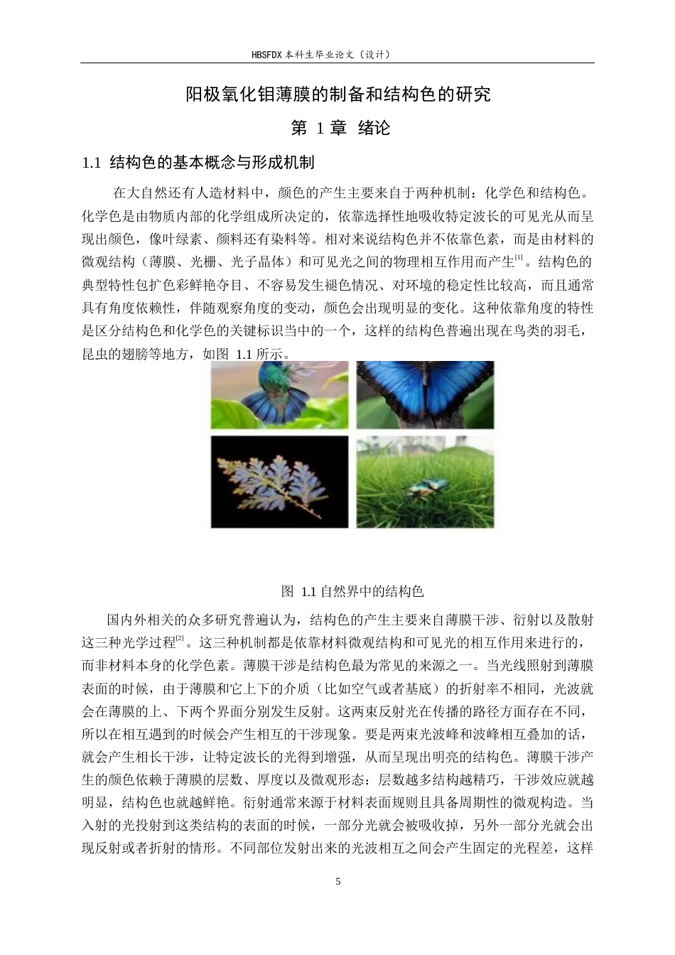 26年WH物理学 阳极氧化钼薄膜的制备和结构色研究8.39-AI4.23-约17616字符.docx_第4页