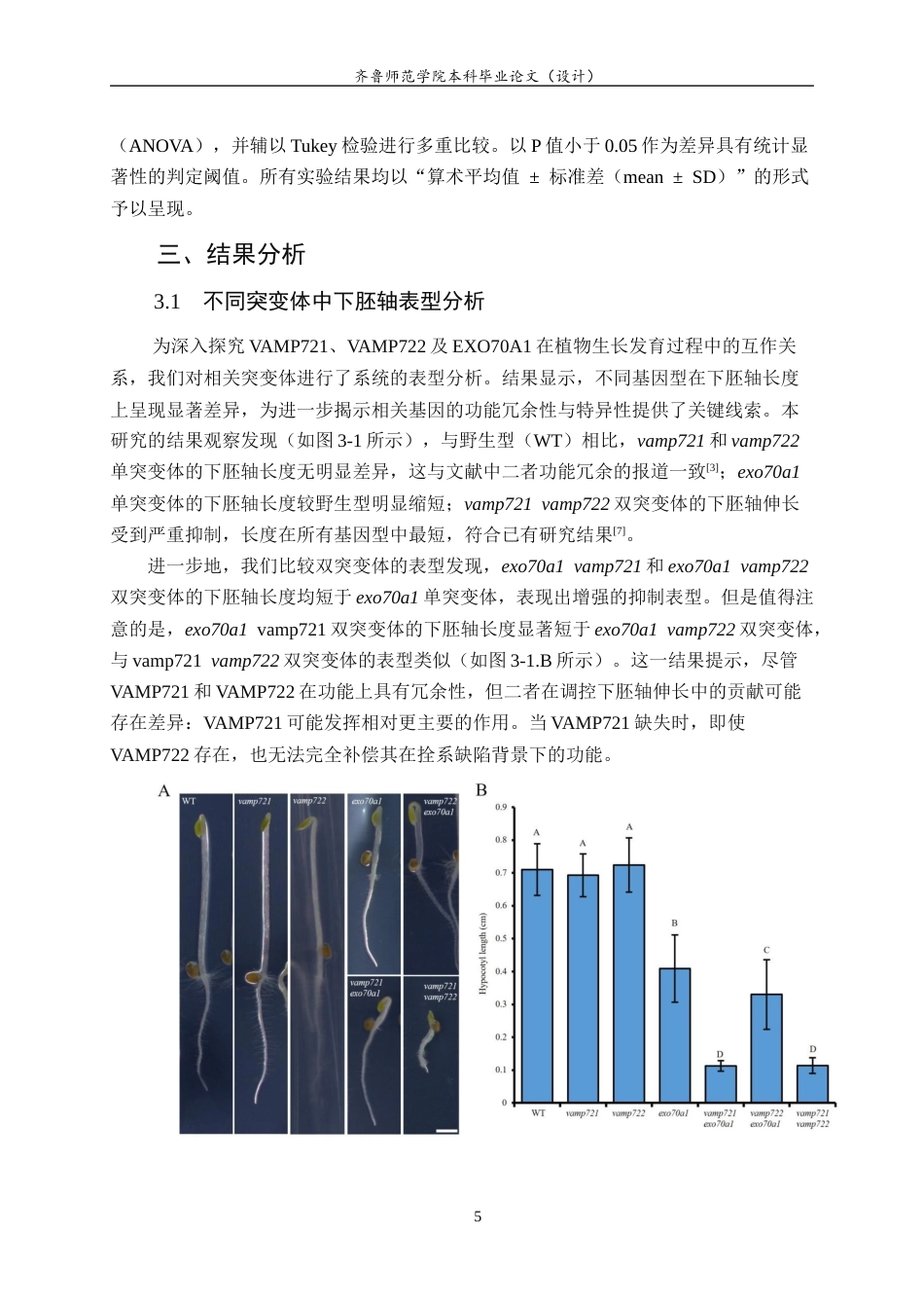 26年WH园林 拟南芥囊泡运输关键基因 exo70a1 与 vamp721vamp722 遗传互作关系的初步解析11.33-AI-约10586字符(7248字).docx_第9页