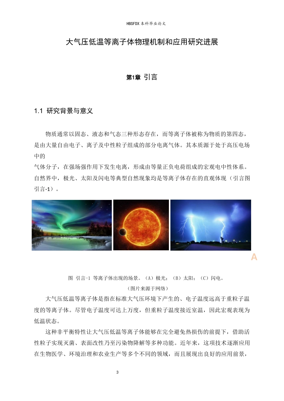 26年WH物理学 大气压低温等离子体物理机制和应用研究进展4.83-AI15.04-约14522字符.docx_第5页