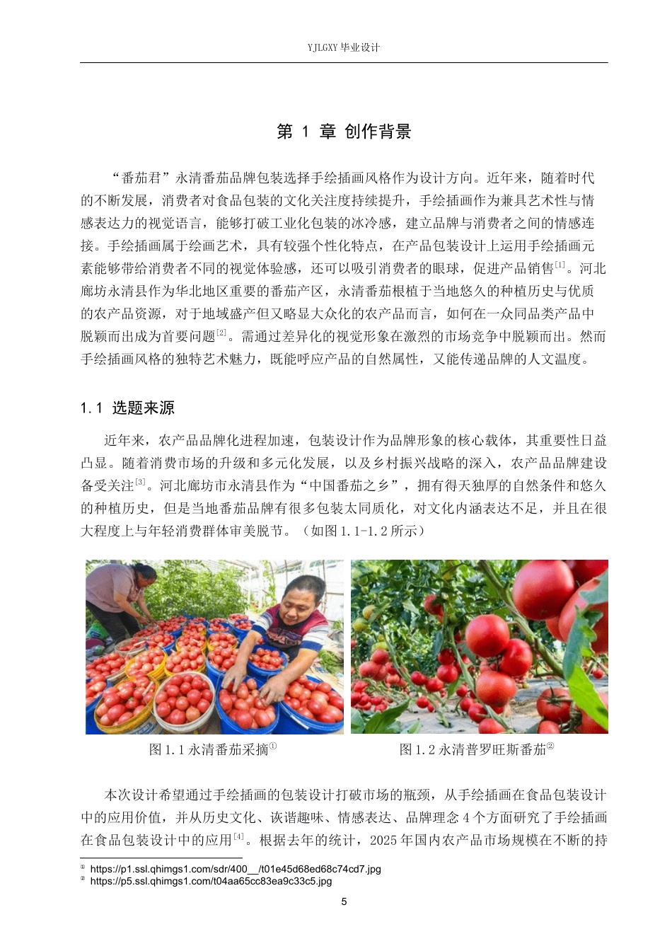 26年WP视觉传达设计 手绘插画风格在“番茄君”永清番茄品牌包装设计中的运用6.54-AI15.22(12950字).docx_第5页
