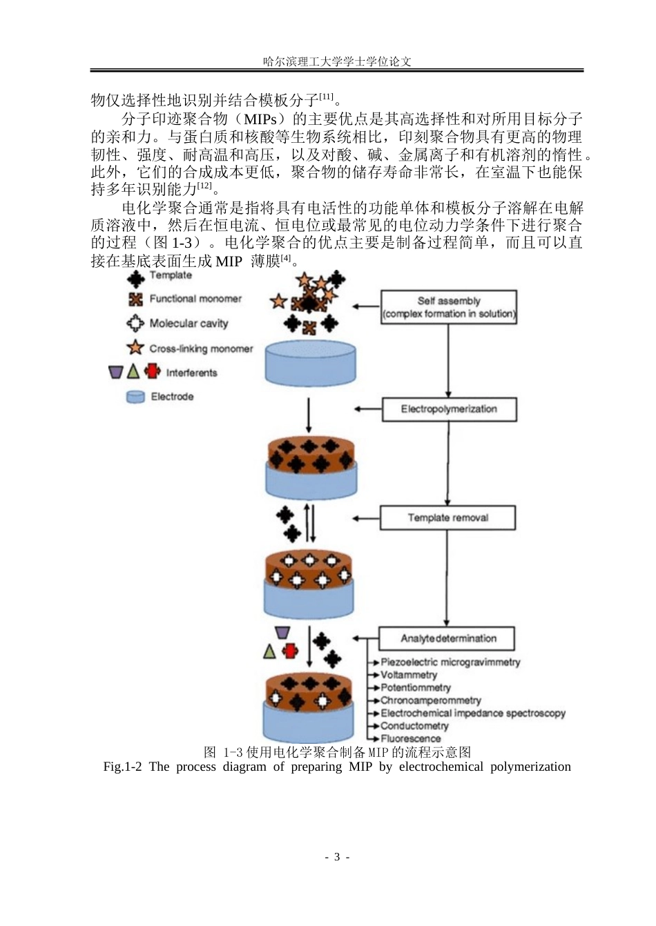26年WP高分子材料与工程 WCZIF-8衍生碳分子印迹材料对四环素的电化学检测研究-AI.doc_第8页