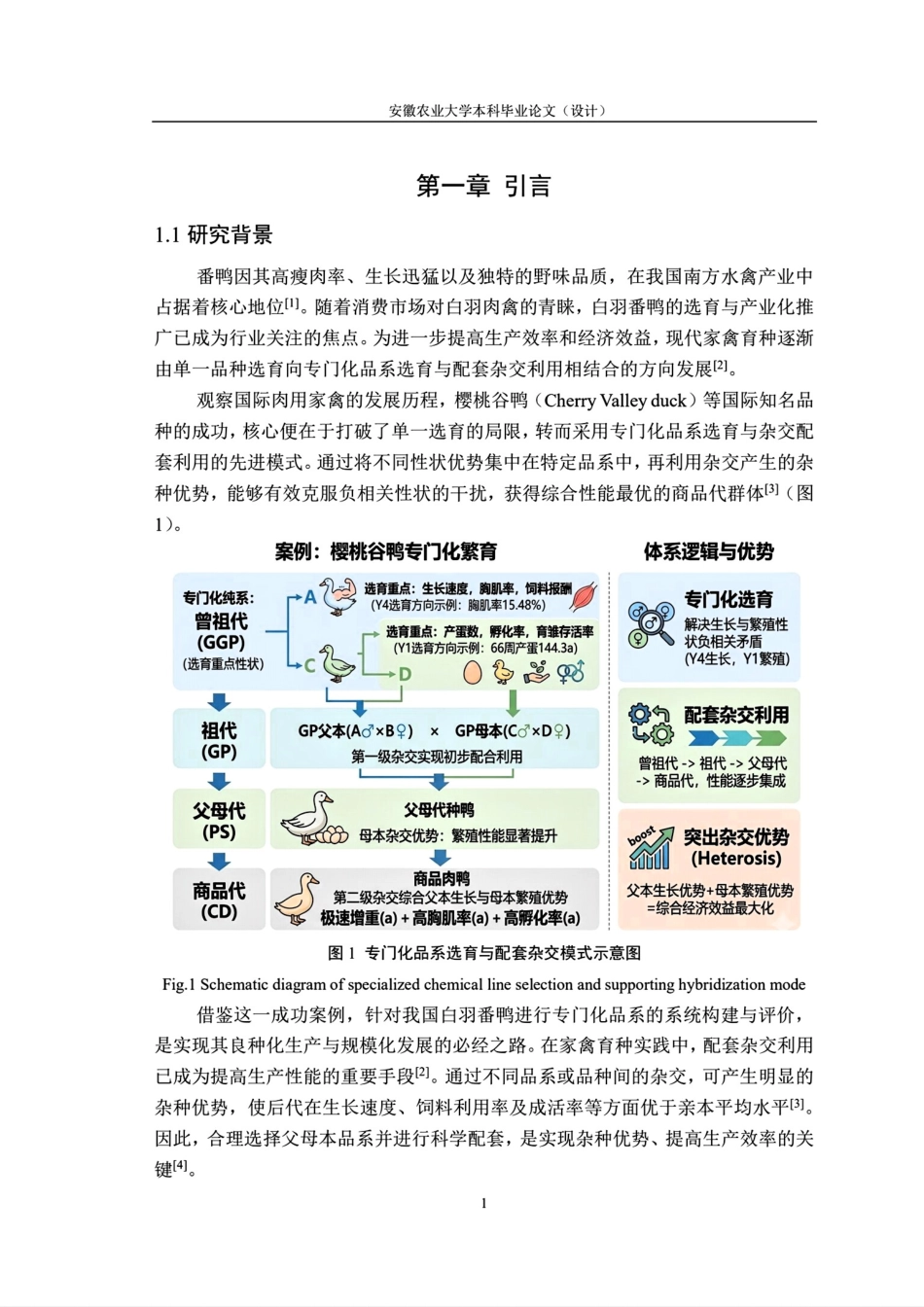 26年WP动物科学 白羽番鸭各品系生产性能比较分析7.92-AI通过.pdf_第7页