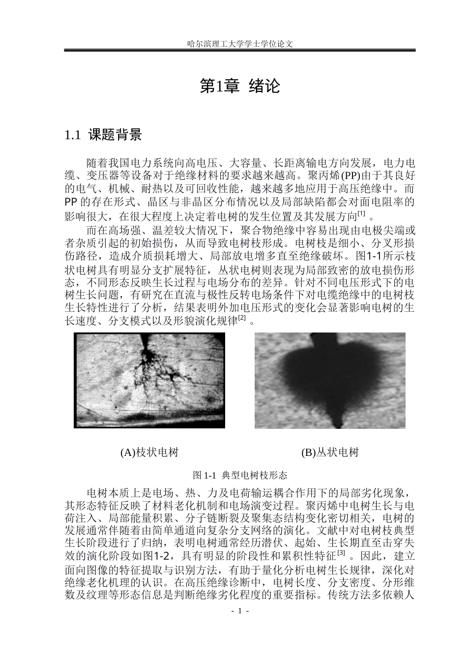 26年WP电气自动化 基于智能图像处理算法的电树形态特征提取与识别研究(36768字).docx_第6页