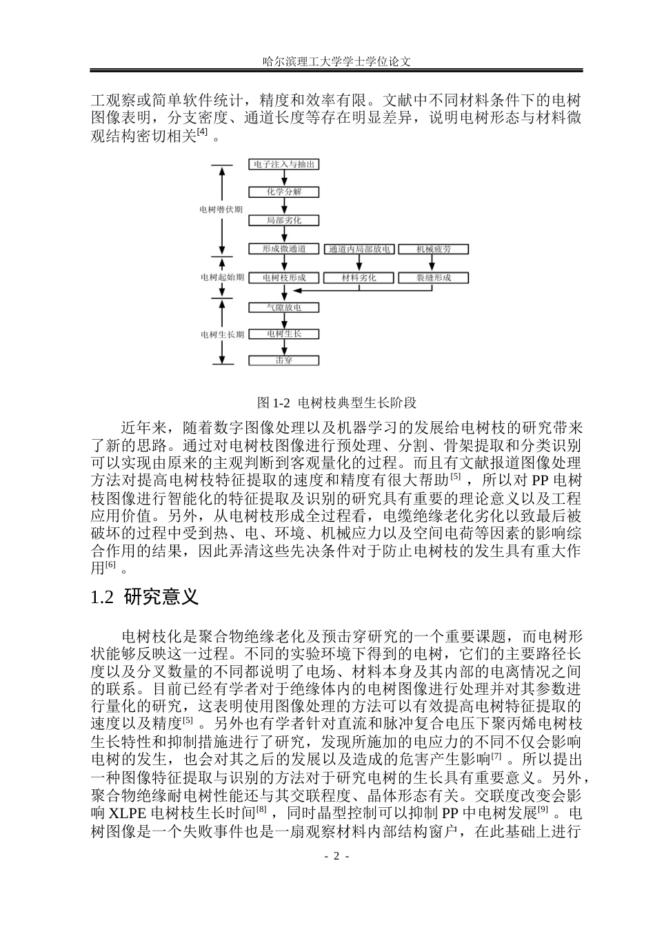 26年WP电气自动化 基于智能图像处理算法的电树形态特征提取与识别研究(36768字).docx_第7页
