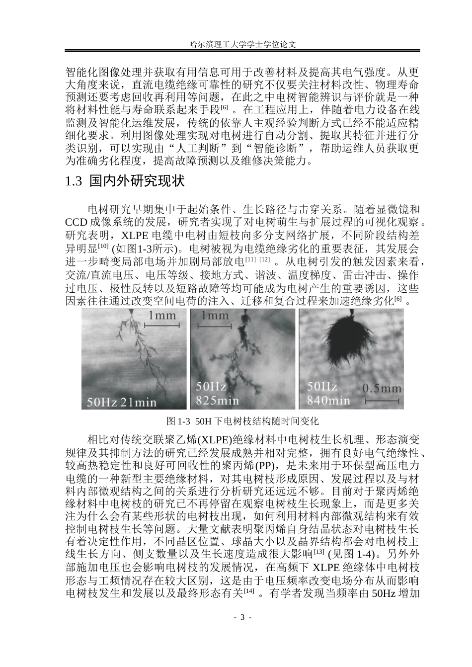 26年WP电气自动化 基于智能图像处理算法的电树形态特征提取与识别研究(36768字).docx_第8页