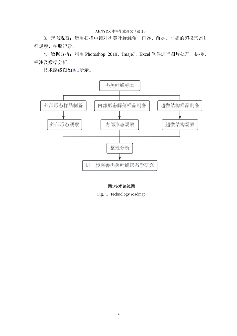26年WP植物保护 杰美叶蝉的形态学研究9.36-AI通过_1(13778字).docx_第6页