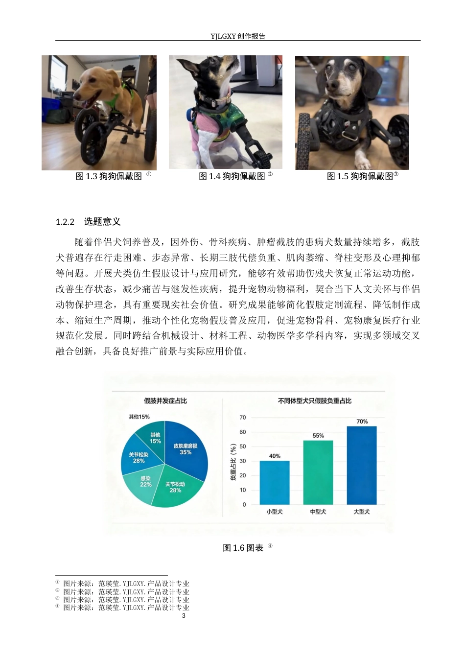 26年WP产品设计 基于犬类后肢骨骼力学特性的宠物假肢设计3.83-AI(10715字).docx_第6页