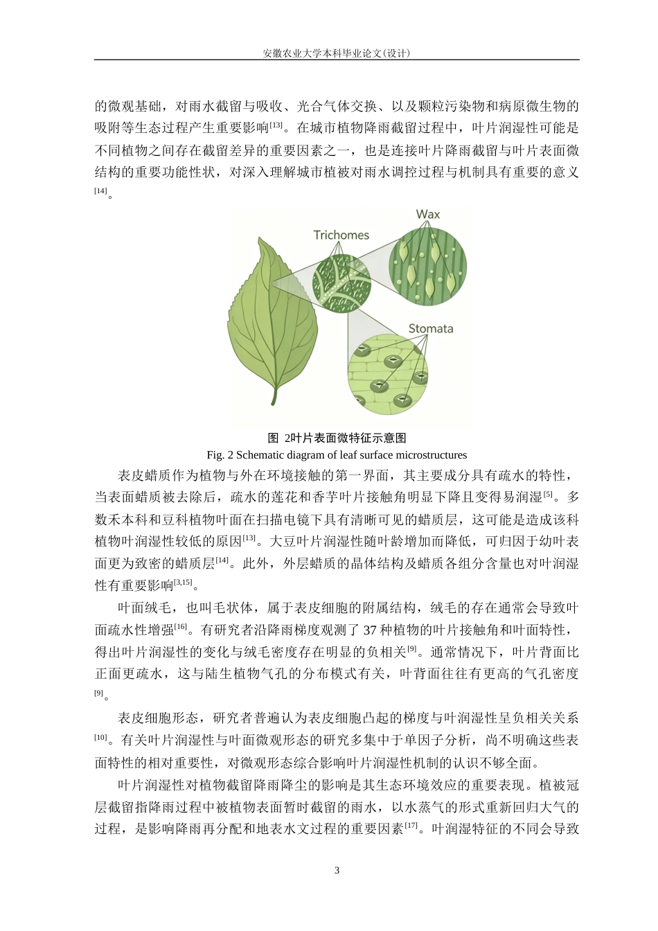 26年WP生态学 城市园林植物叶片润湿性及其与叶表面微特征的关系18.08-AI通过(18206字).docx_第8页