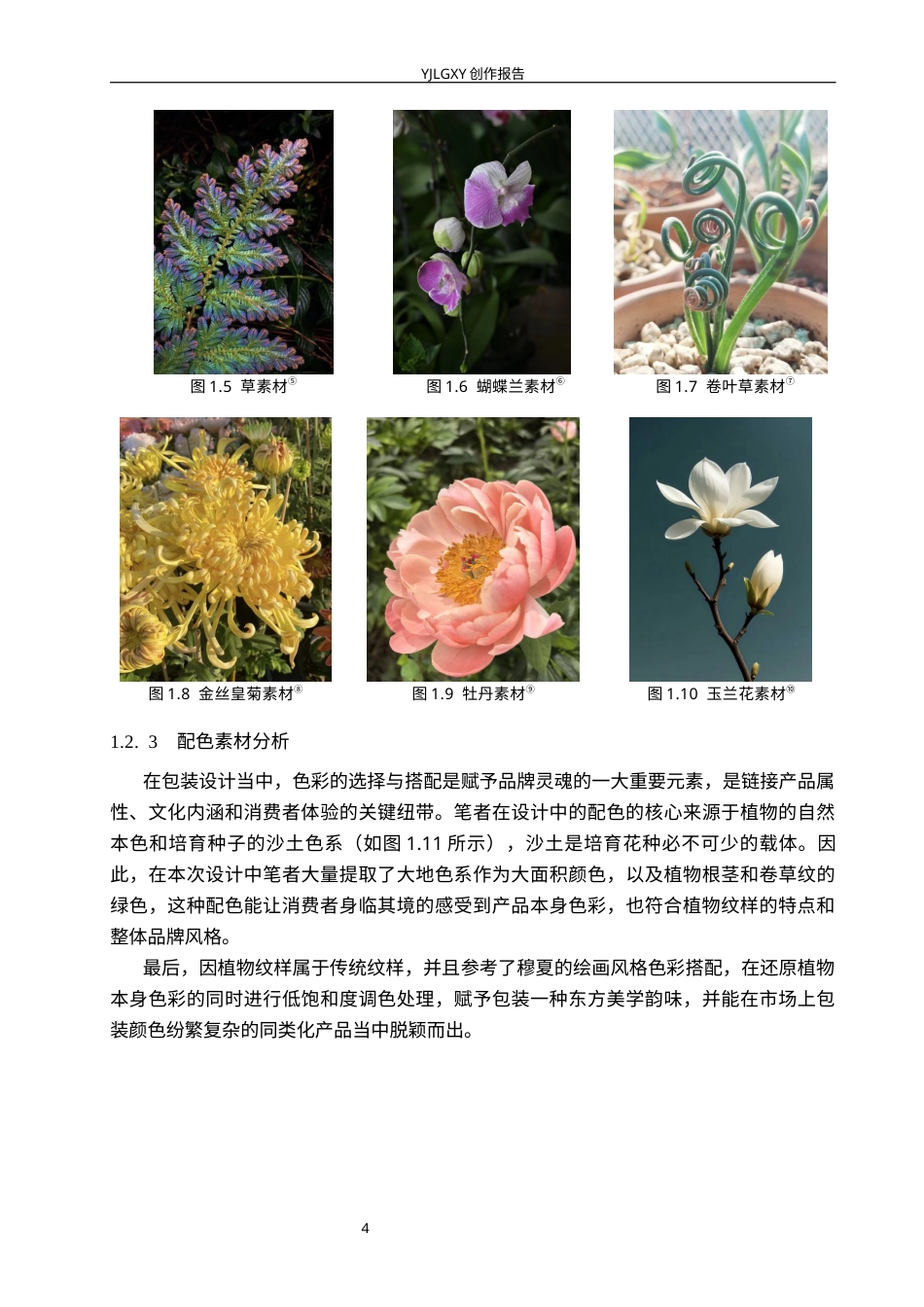 26年WP视觉传达设计 植物纹样元素在“莳花纪”花种包装中的设计6.97-AI6.97(15998字).docx_第9页