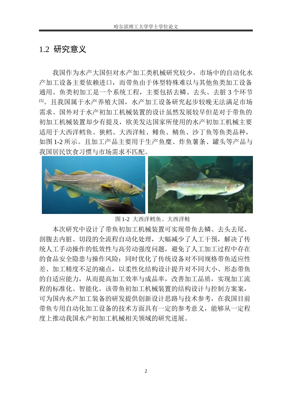 26年WP机械电子工程 带鱼初加工机械装置结构设计8.61-AI21.6(27220字).docx_第8页