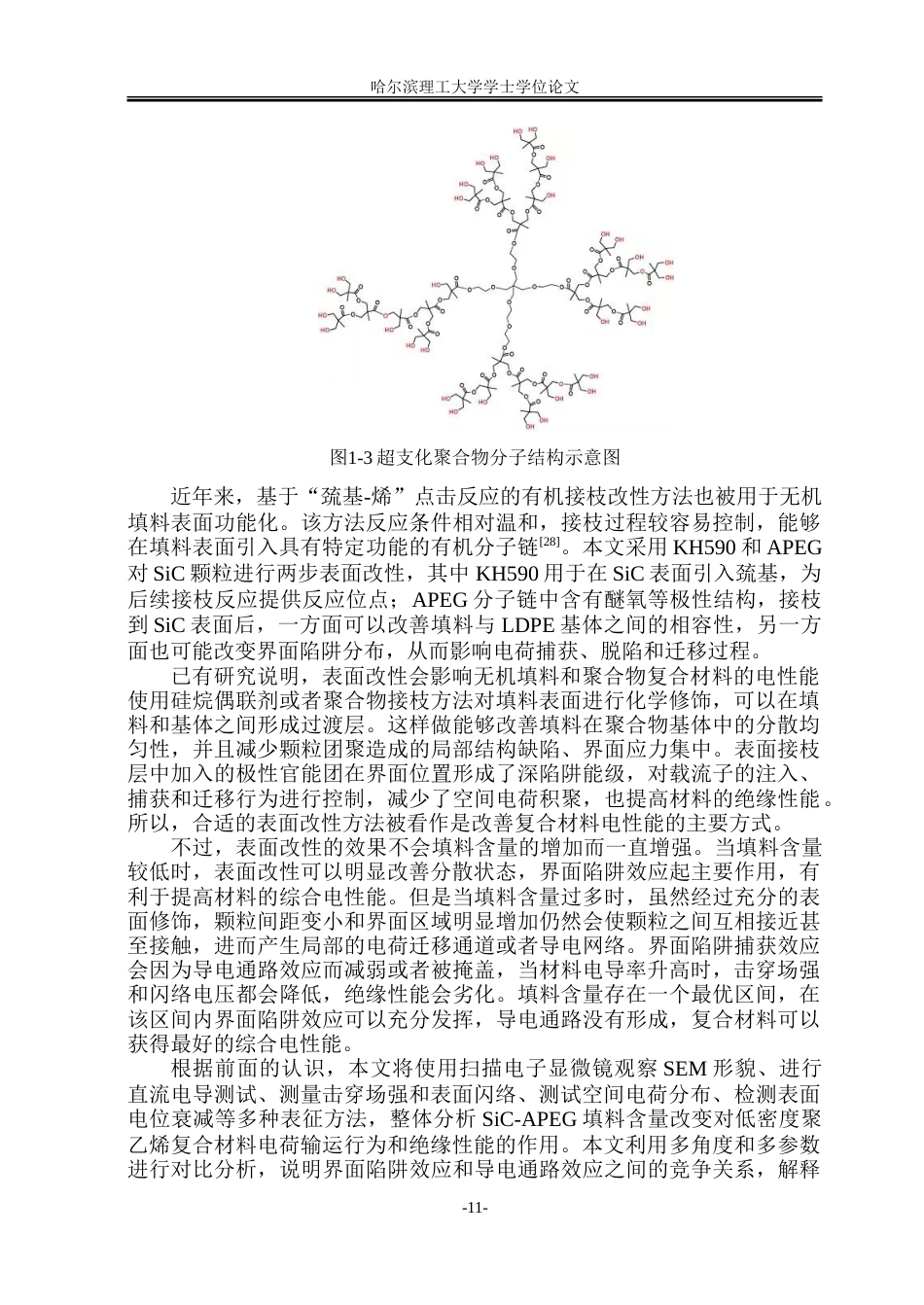 26年WP电气工程及其自动化 改性碳化硅聚乙烯材料的制备与空间电荷特性研究9.6-AI2.35-约21621字符(15783字).doc_第10页