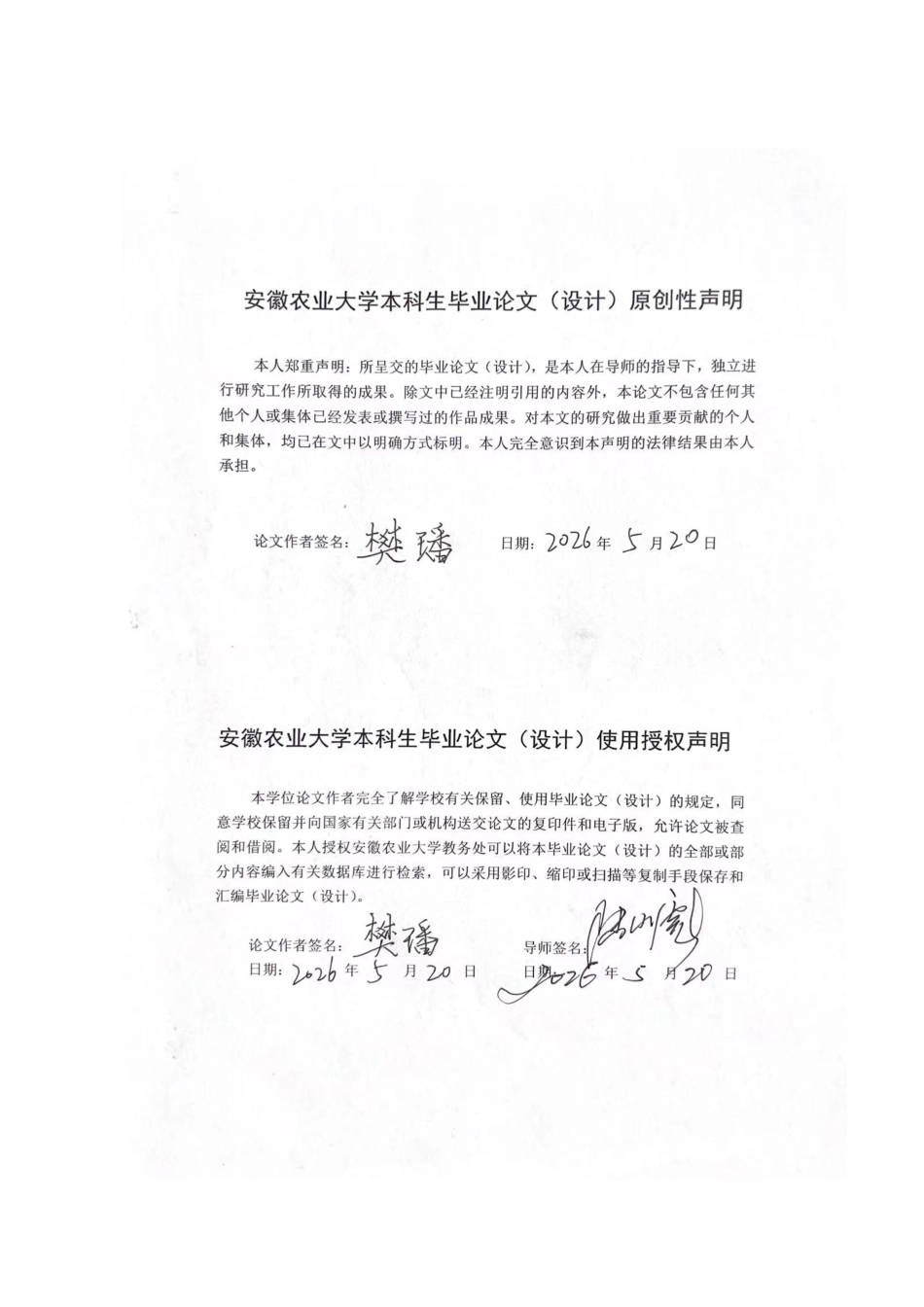 26年WP环境设计 森林声景主题山林民宿设计0.49-AI通过(17120字).docx_第1页