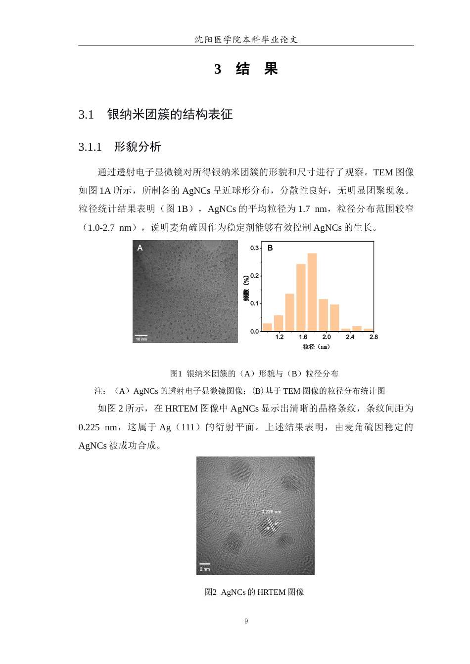 26年WP预防医学 银纳米团簇的抗氧化应用22.1-AI7.54(9160字).docx_第10页
