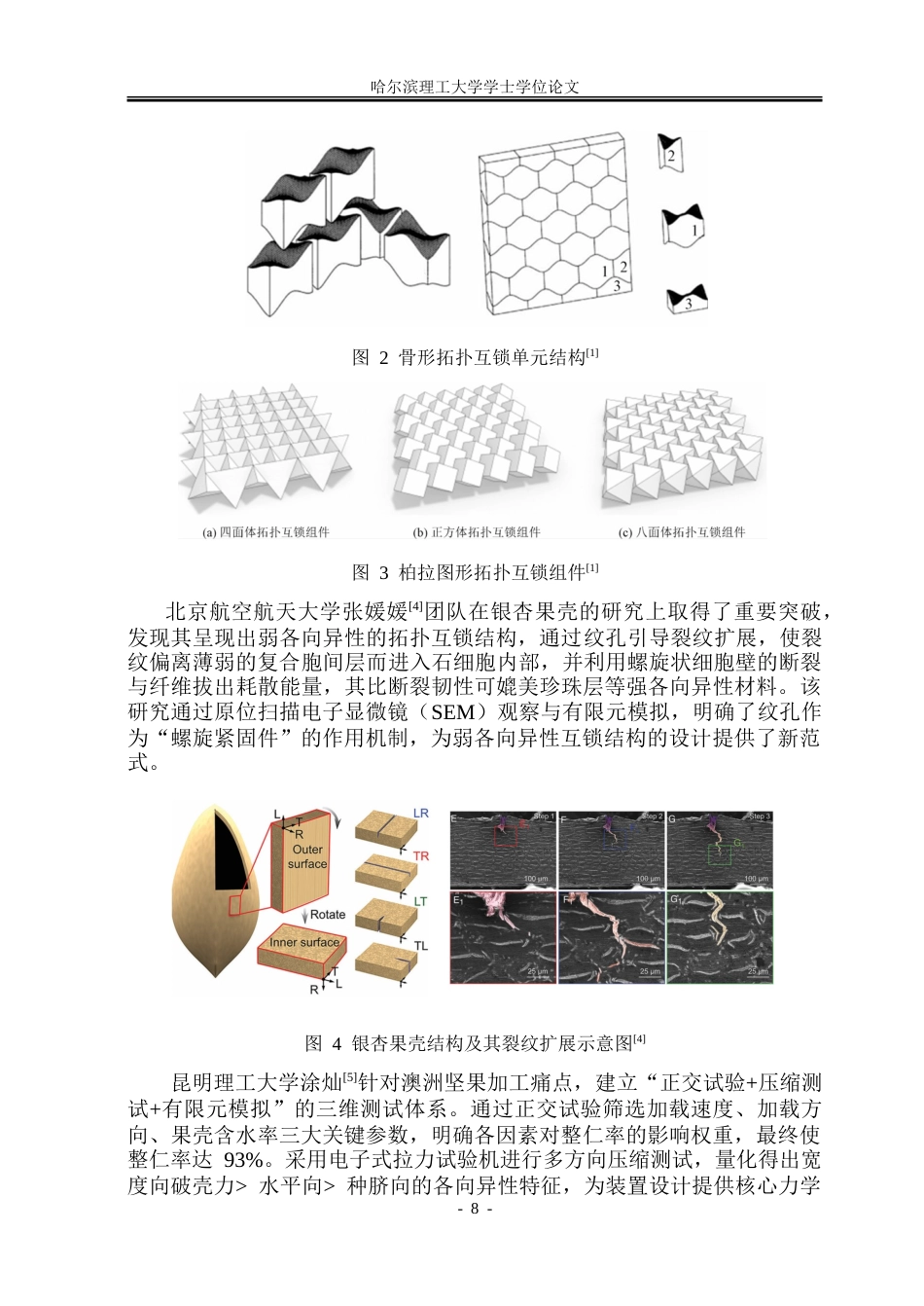 26年WP机械设计制造及其自动化 坚果壳体拓扑互锁结构表征与机械响应特性研究2.33-AI14.38_1.doc_第9页