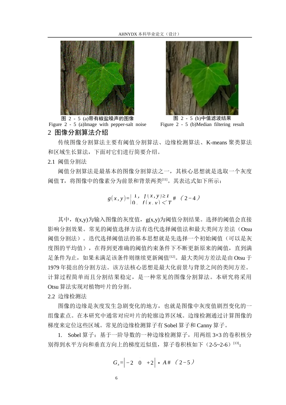 26年WP电子信息工程 植物叶片分割算法实现与研究18.26-AI通过(16522字).docx_第10页
