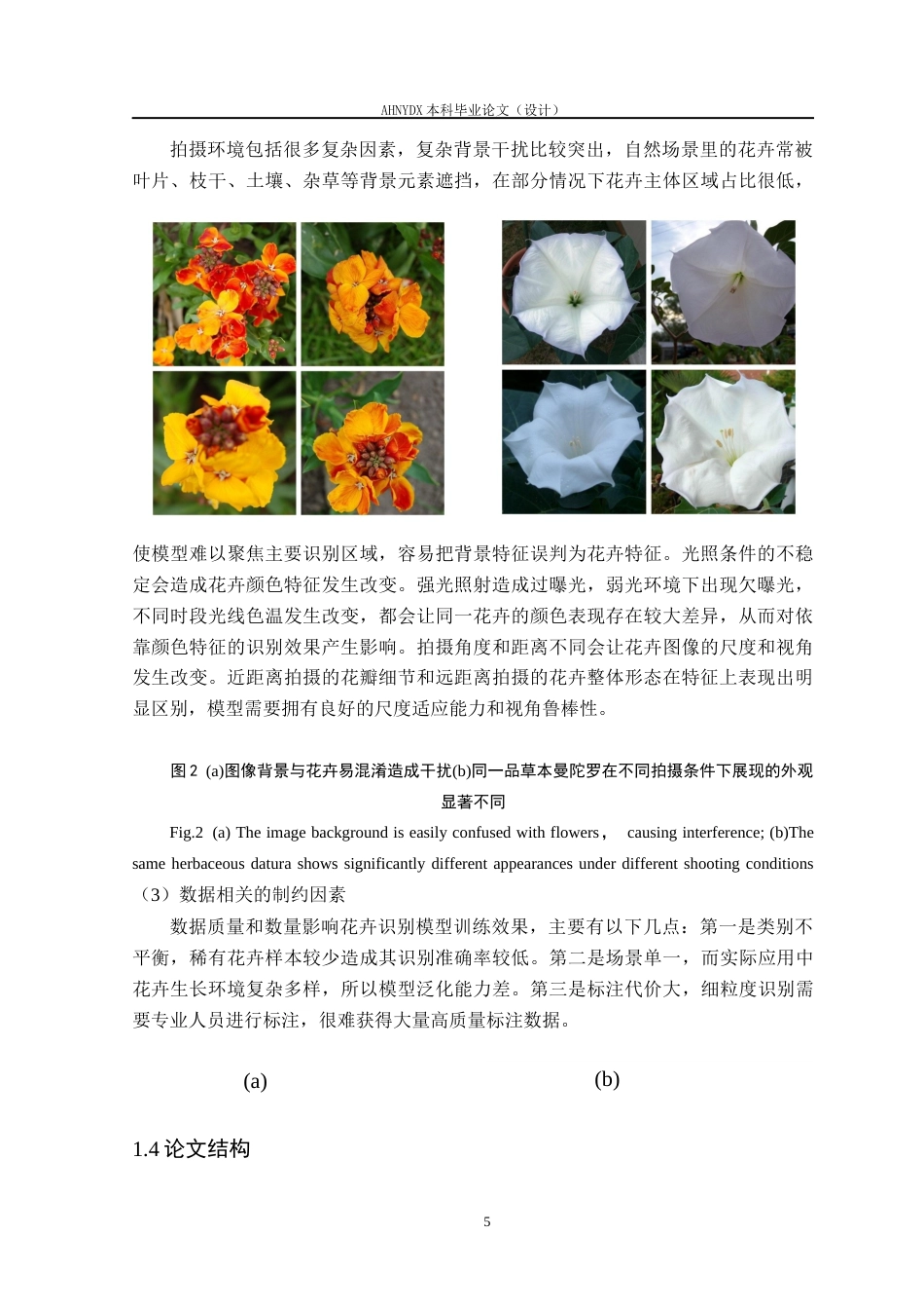 26年WP智能科学与技术 基于YOLO12目标检测下的SE-ResNet50细粒度花卉分类方法9.64-AI通过(21822字).docx_第10页