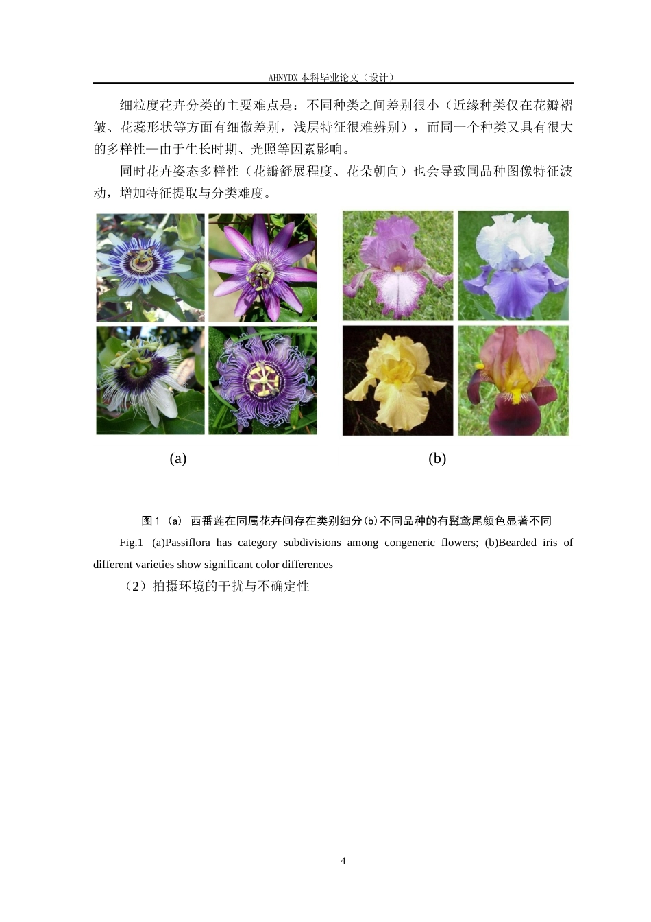 26年WP智能科学与技术 基于YOLO12目标检测下的SE-ResNet50细粒度花卉分类方法9.64-AI通过(21822字).docx_第9页