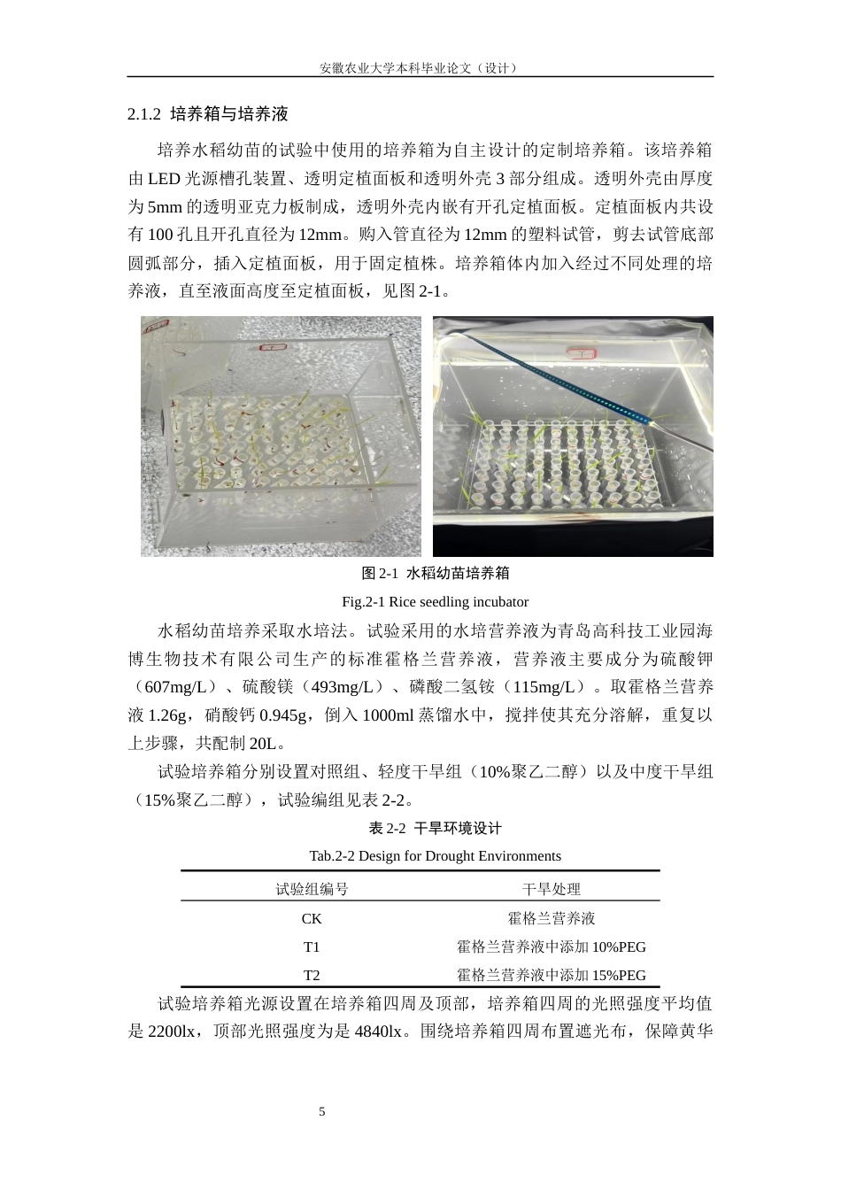 26年WP农业水利工程 基于气孔行为与光合特性的水稻品种水分利用效率差异研究14.86-AI通过(18135字).docx_第10页