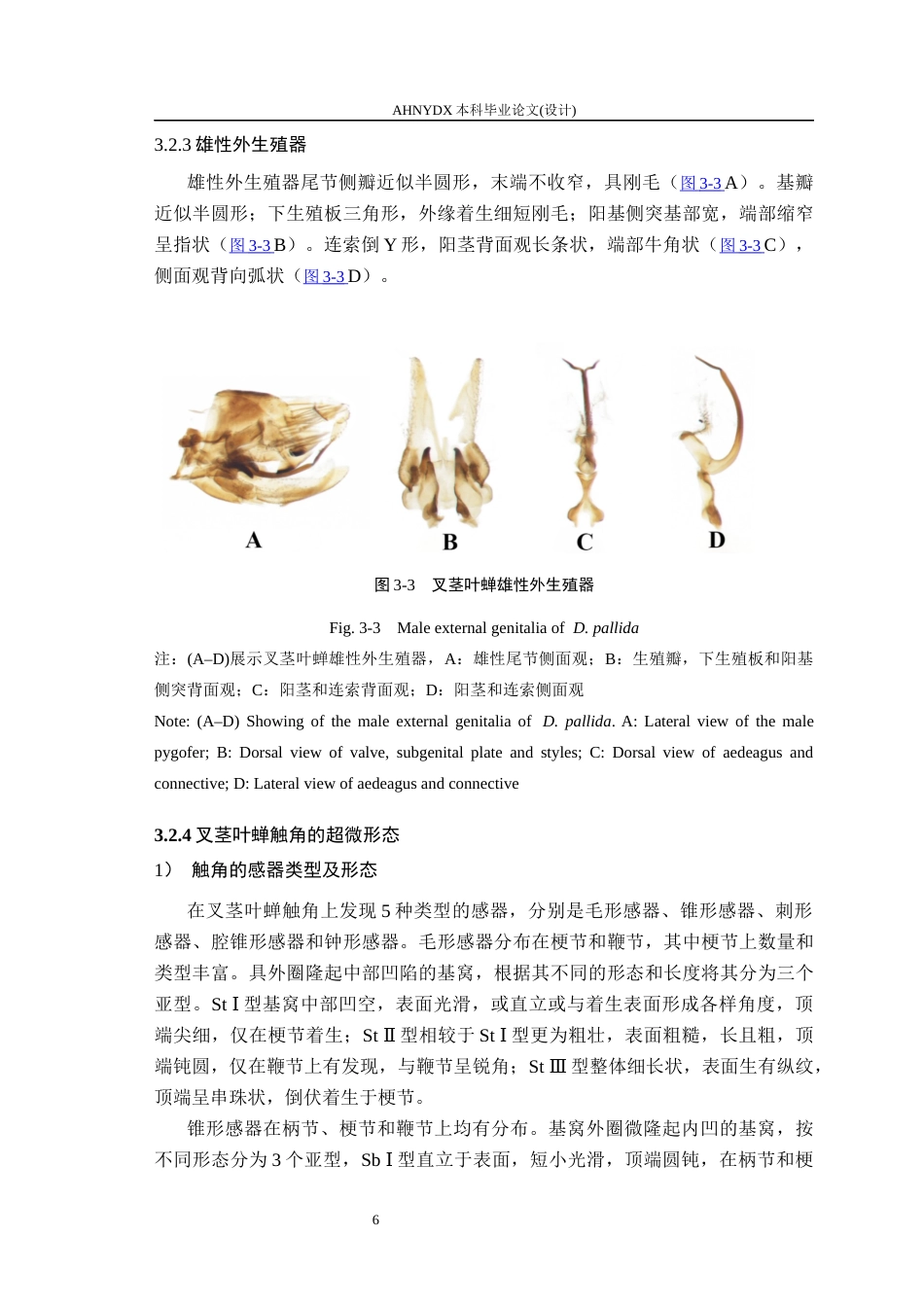 26年WP植物保护 叉茎叶蝉的形态学研究15.66-AI通过_1(16011字).docx_第10页