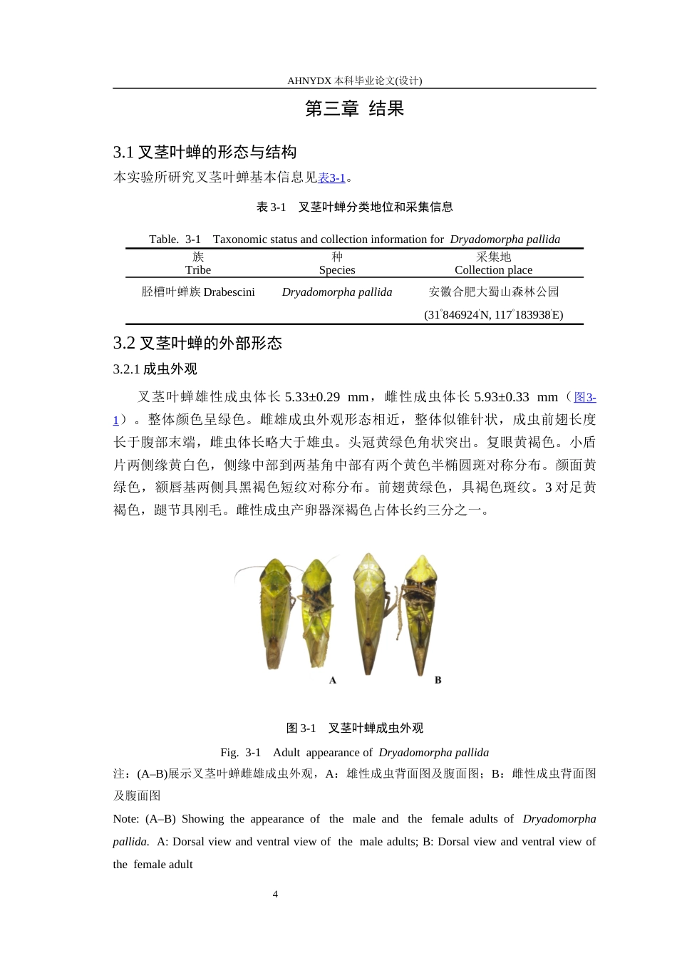 26年WP植物保护 叉茎叶蝉的形态学研究15.66-AI通过_1(16011字).docx_第8页