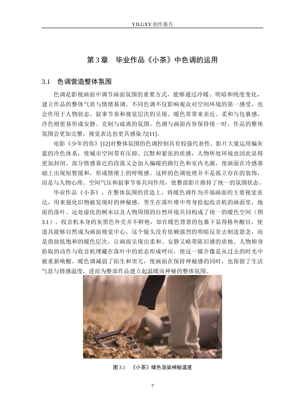 26年WP摄影 毕业作品《小茶》中色调的运用2.03-AI(15835字).docx_第10页