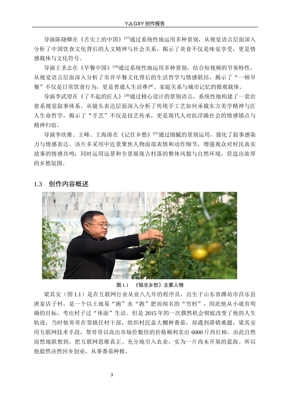 26年WP广播电视编导 毕业作品《惦念乡愁》中景别的运用阐述8.46-AI8.54(23132字).docx_第6页