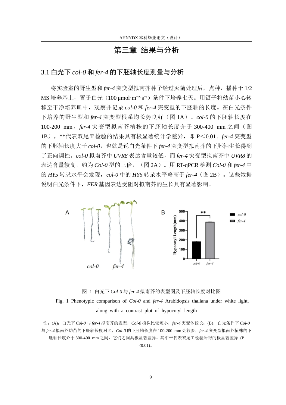 26年WP生物制药 拟南芥fer-4突变体在UV-B下的表型分析20.72-AI通过_1(9572字).docx_第10页