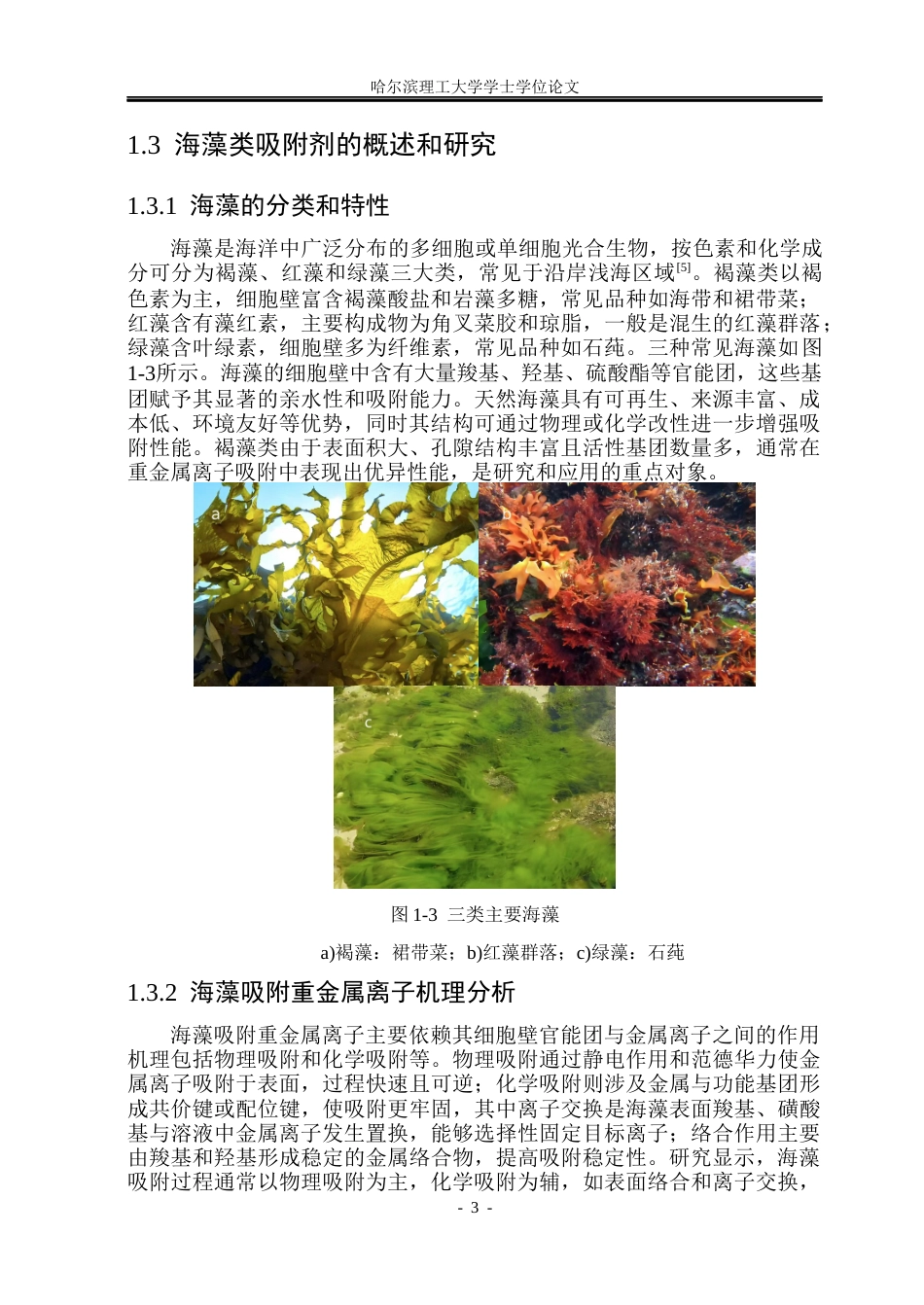 26年WP材料化学 海藻类吸附剂吸附行为研究13.71-AI34.03_1(26854字).docx_第8页