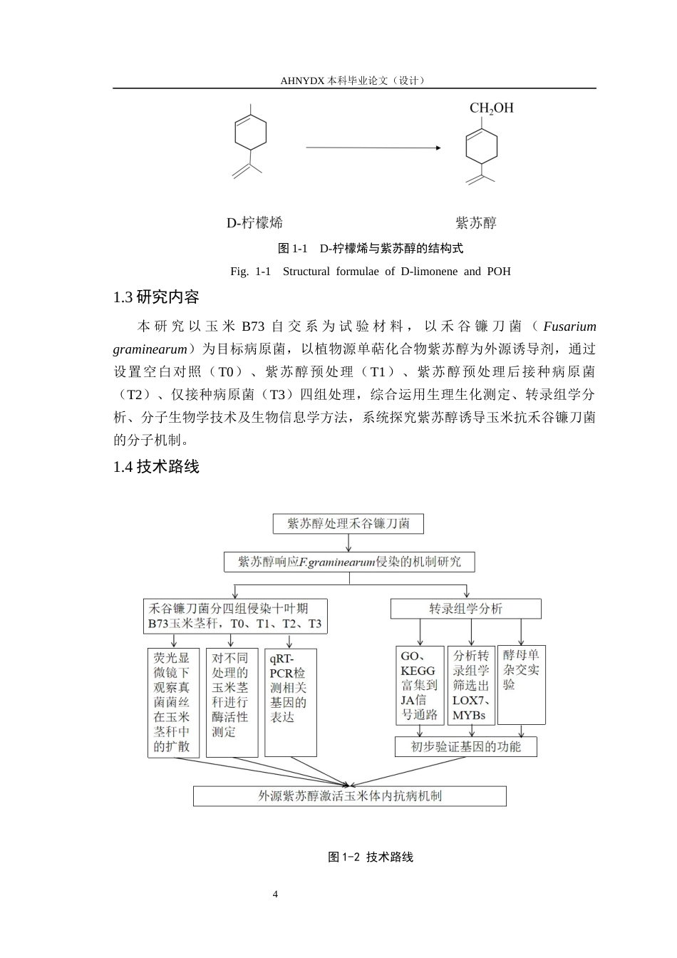 26年WP生物类创新实验班 紫苏醇防御玉米茎腐病机理的初步研究28.14-AI通过_1(19357字).docx_第8页