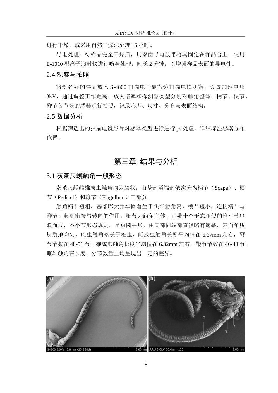 26年WP植物保护 灰茶尺蠖触角及其感器的超微形态15.02-AI通过_1(12250字).docx_第8页