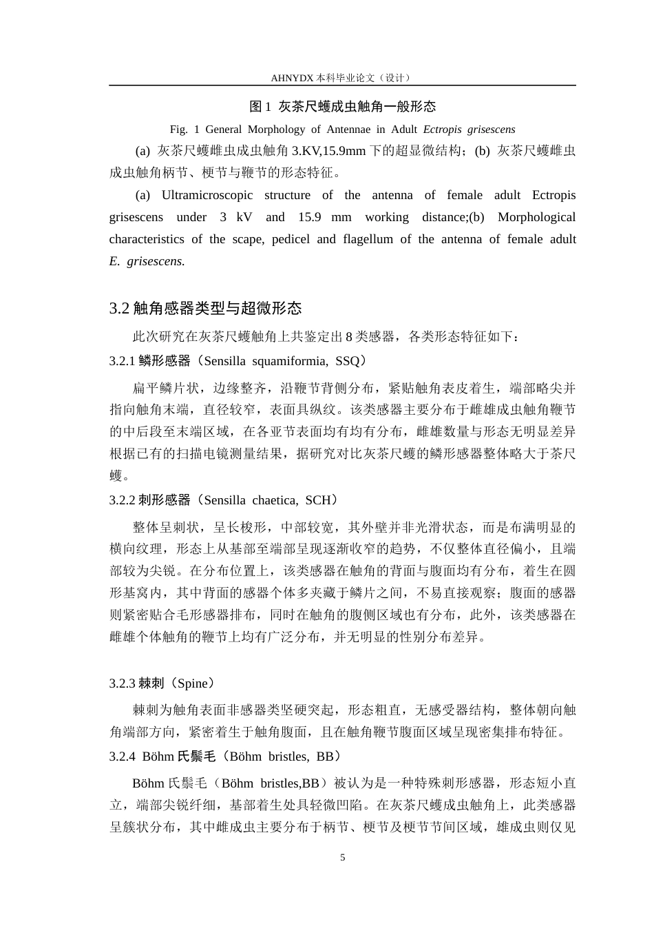 26年WP植物保护 灰茶尺蠖触角及其感器的超微形态15.02-AI通过_1(12250字).docx_第9页