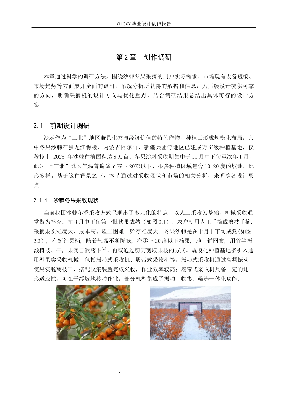26年WP产品设计 智能农业背景下的沙棘冬果采摘机设计4.41-AI18.61.docx_第9页