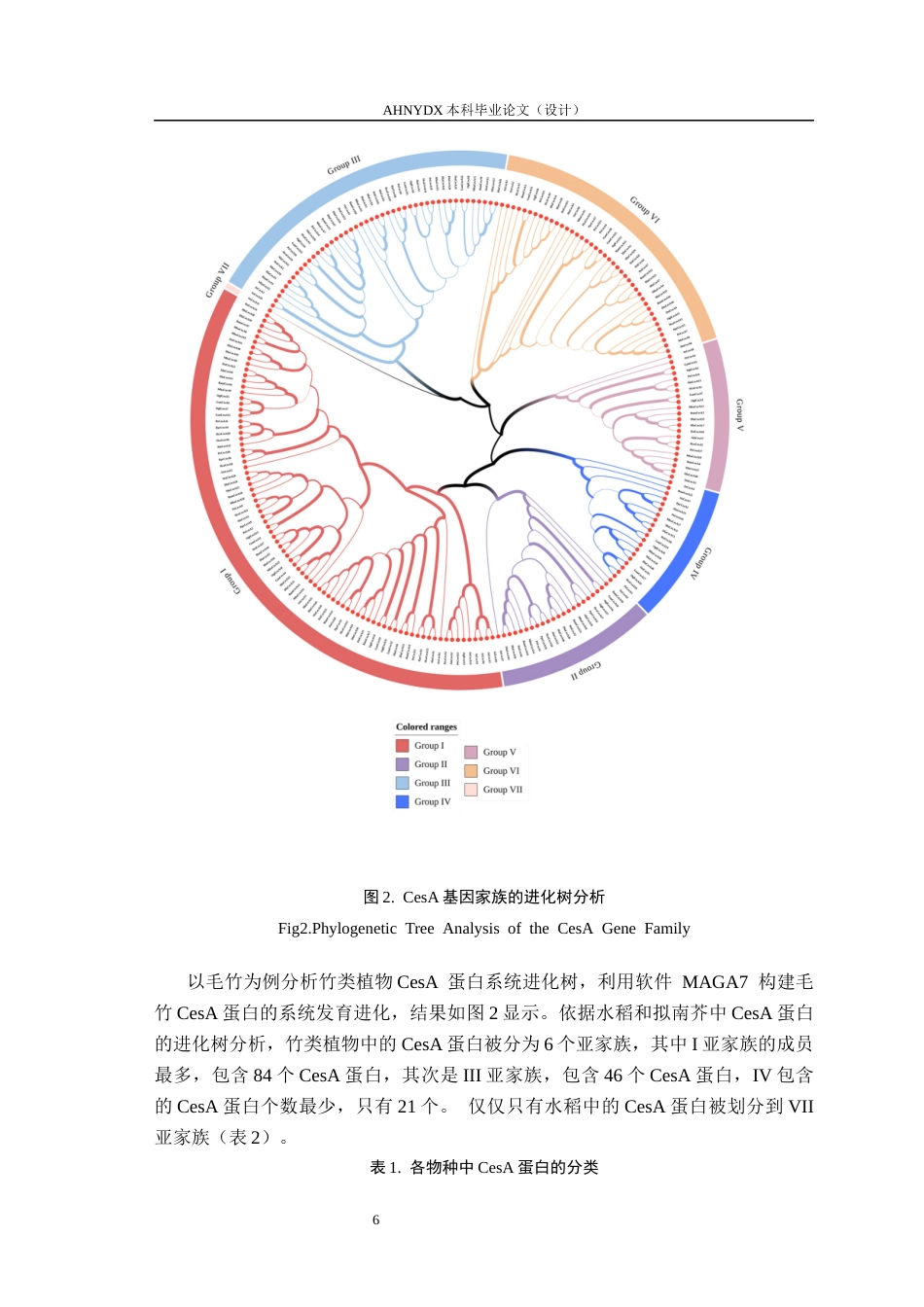 26年WP林学 竹类植物纤维素合成酶（CeSA)基因家族的鉴定与分析21.09-AI通过(9083字).docx_第10页
