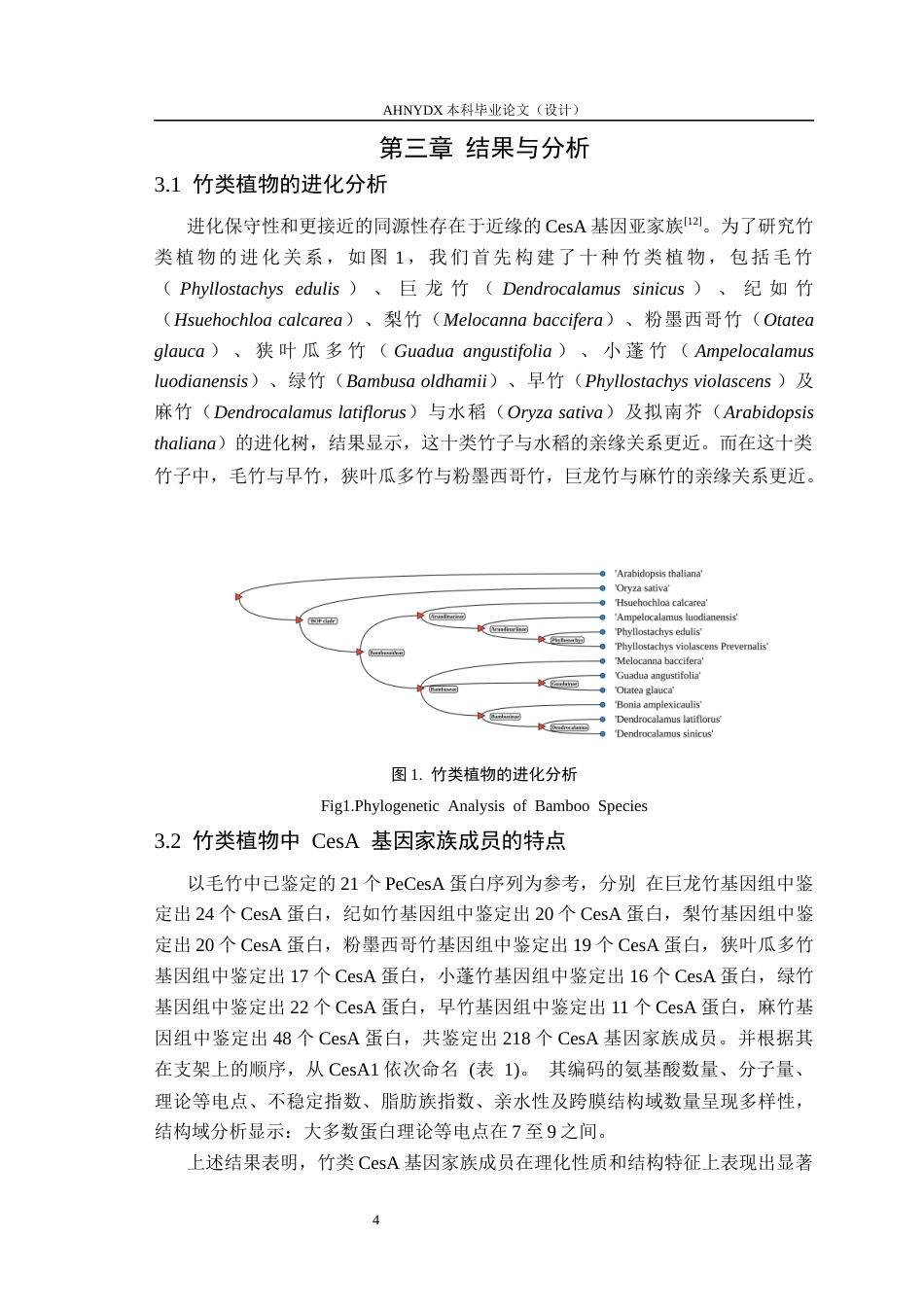 26年WP林学 竹类植物纤维素合成酶（CeSA)基因家族的鉴定与分析21.09-AI通过(9083字).docx_第8页