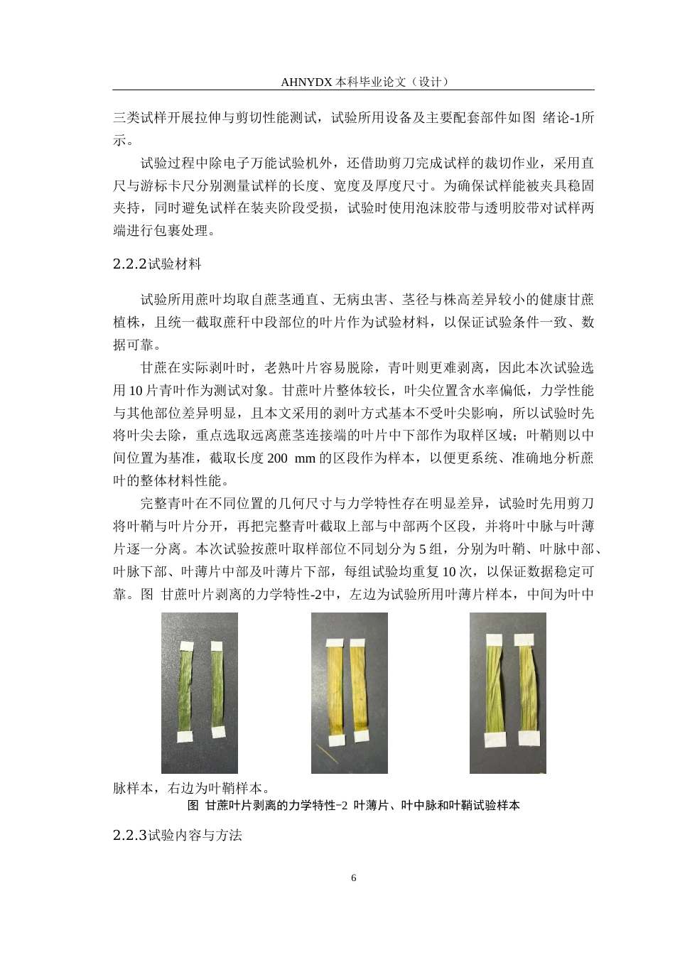26年WP农业机械化及其自动化 甘蔗剥叶机的优化与设计17.01-AI通过(15027字).docx_第10页