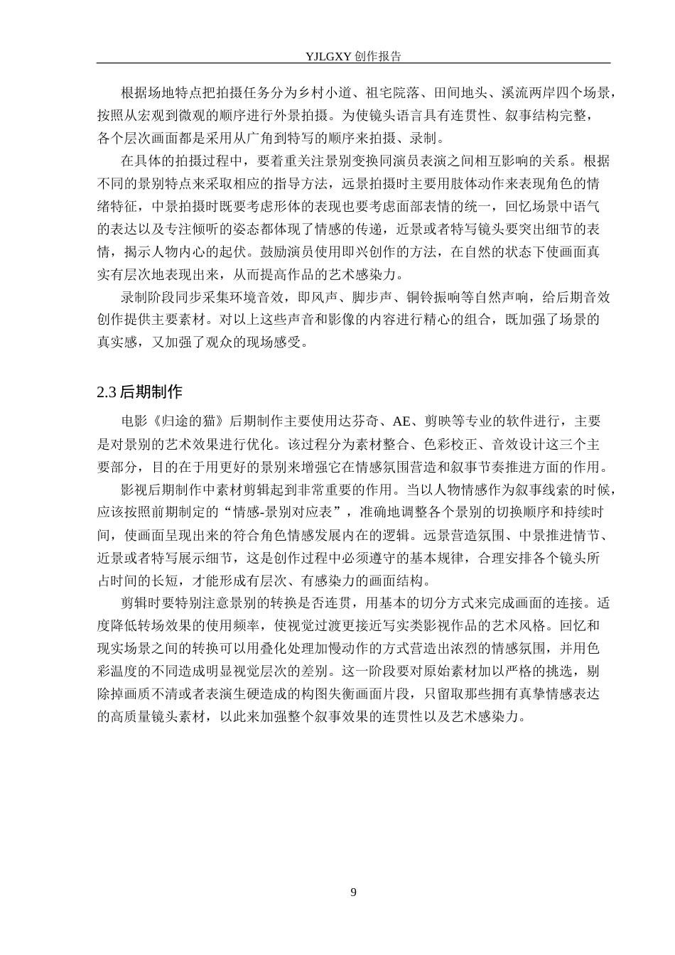 26年WP摄影 毕业作品《归途的猫》中景别的运用0.69-AI0.38(19554字).docx_第9页