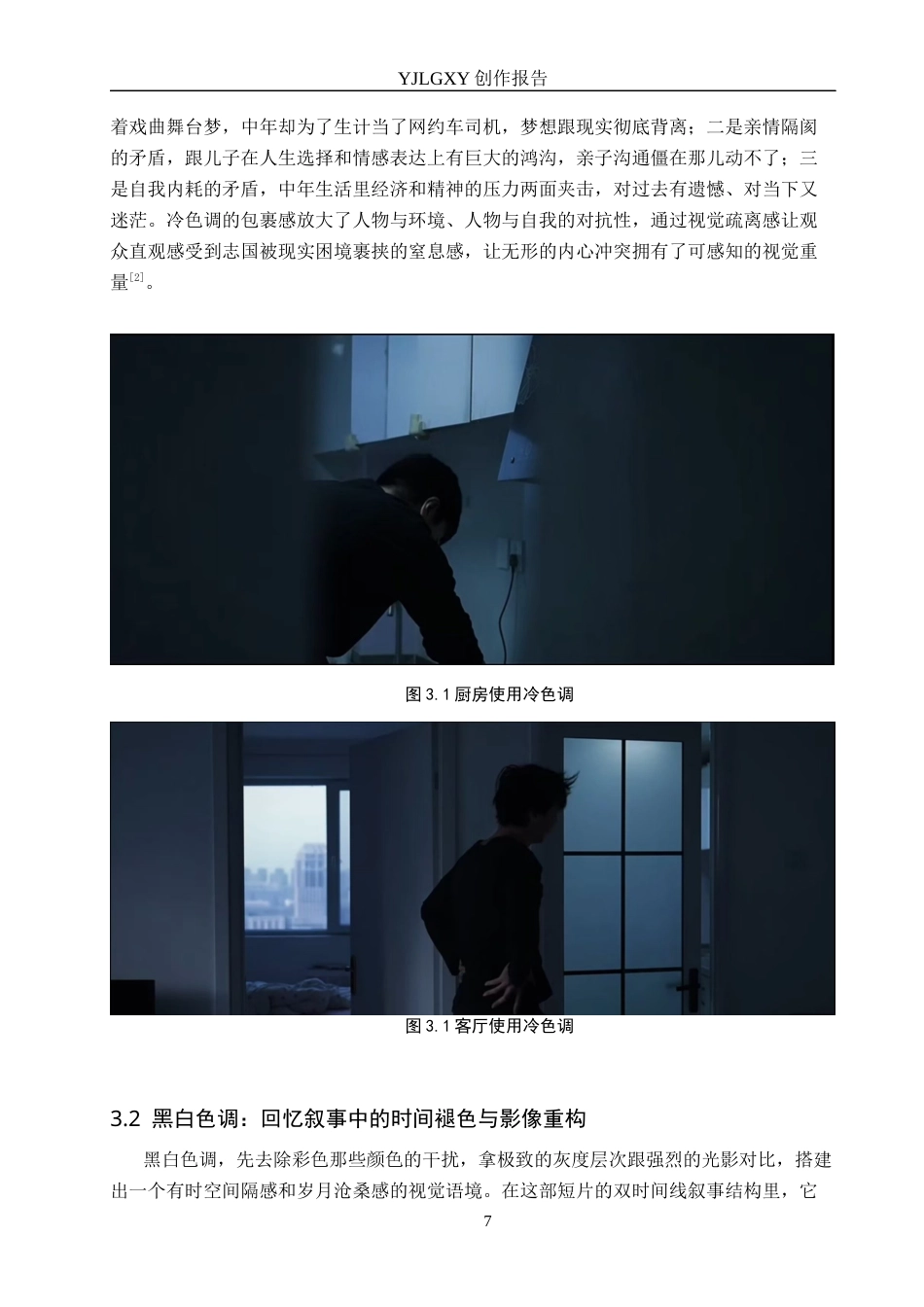26年WP摄影 毕业作品《小生》色调对叙事的影响3.89-AI(21884字).docx_第10页