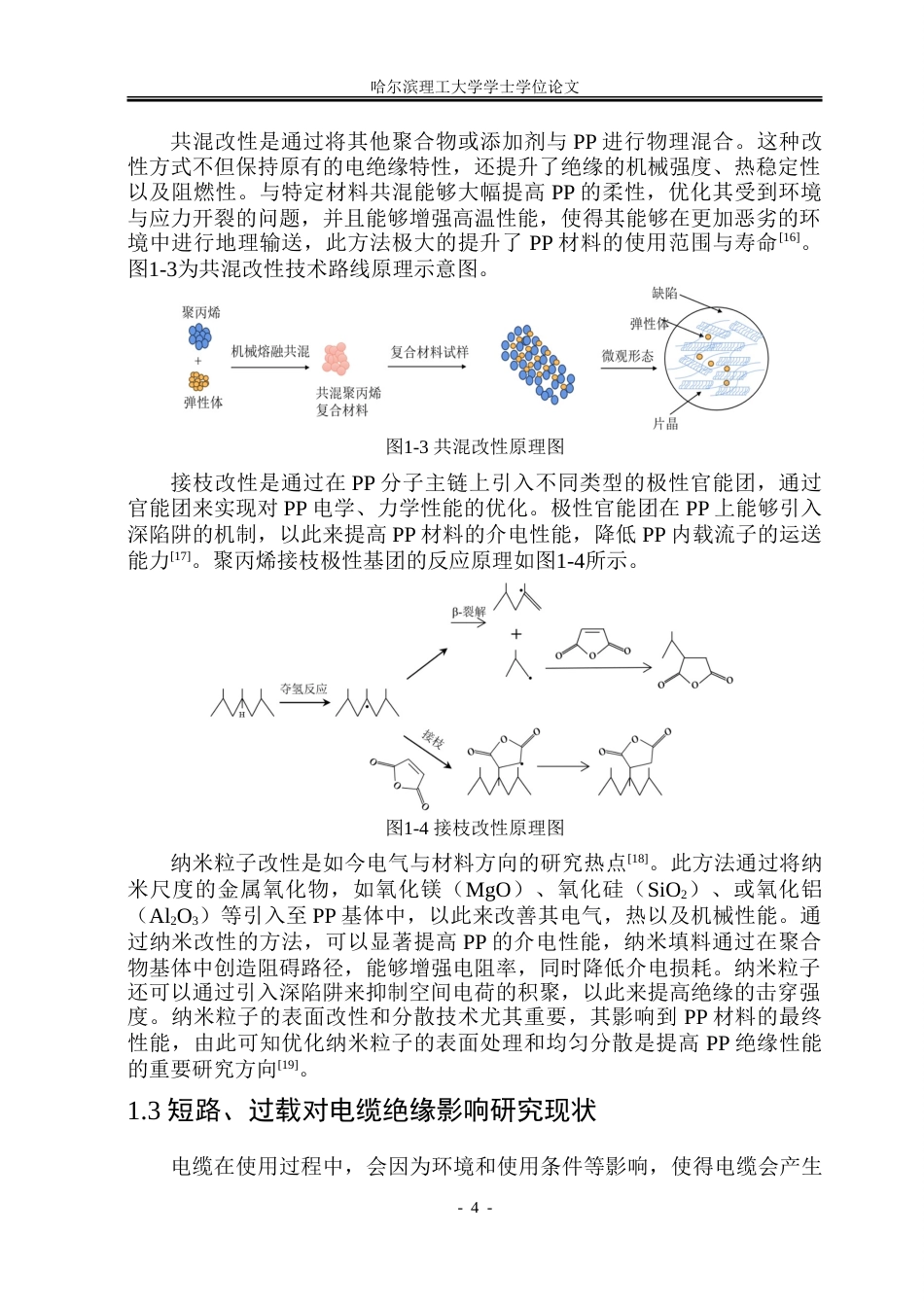 26年WP电气工程及其自动化 在不同负载条件下聚丙烯电缆绝缘层电学特性仿真研究19.71-AI32.0-约31824字符(23679字).doc_第9页
