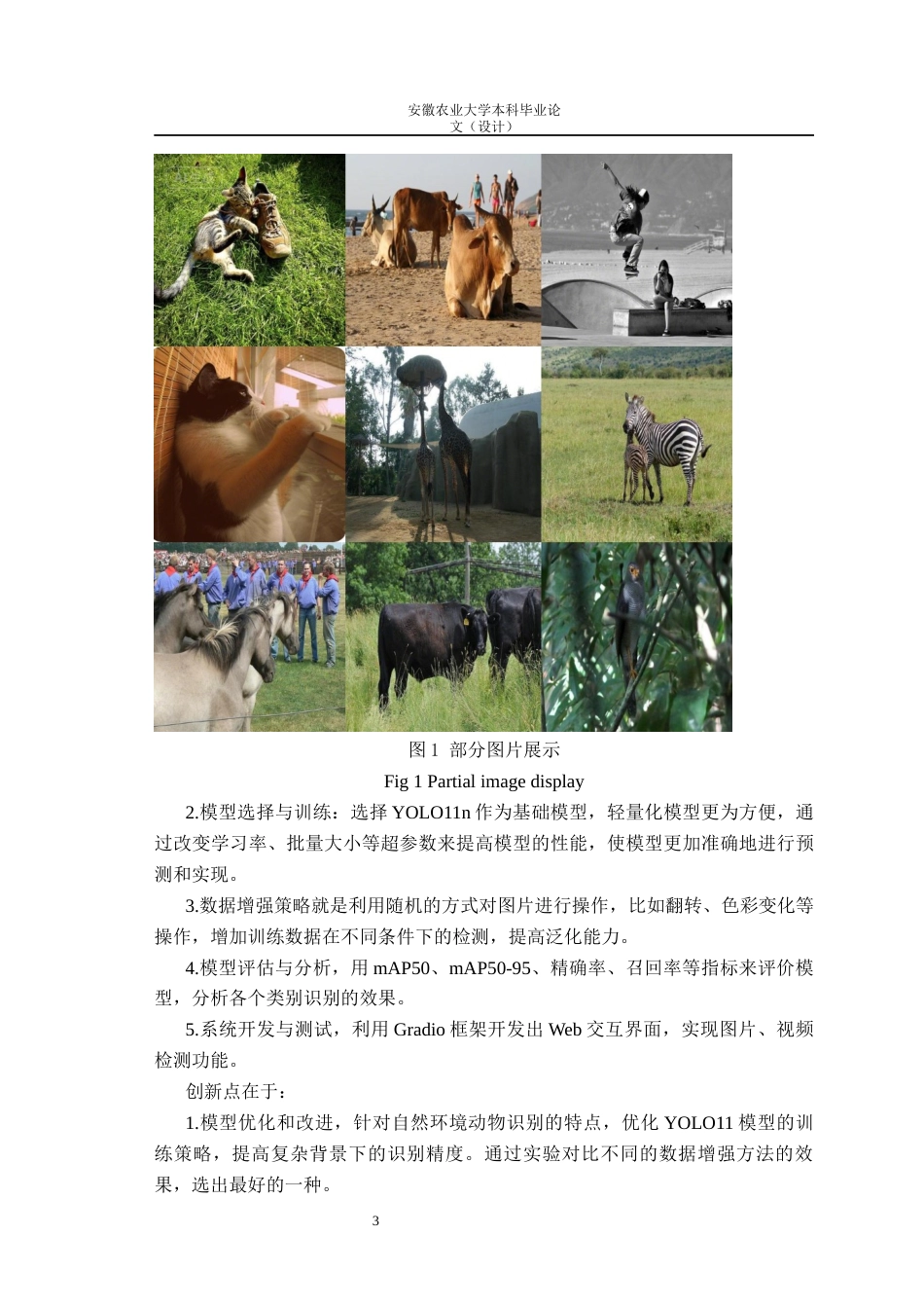 26年WP计算机科学与技术 基于YOLO11深度学习的自然环境下动物目标身份识别10.61-AI通过(13365字).docx_第6页