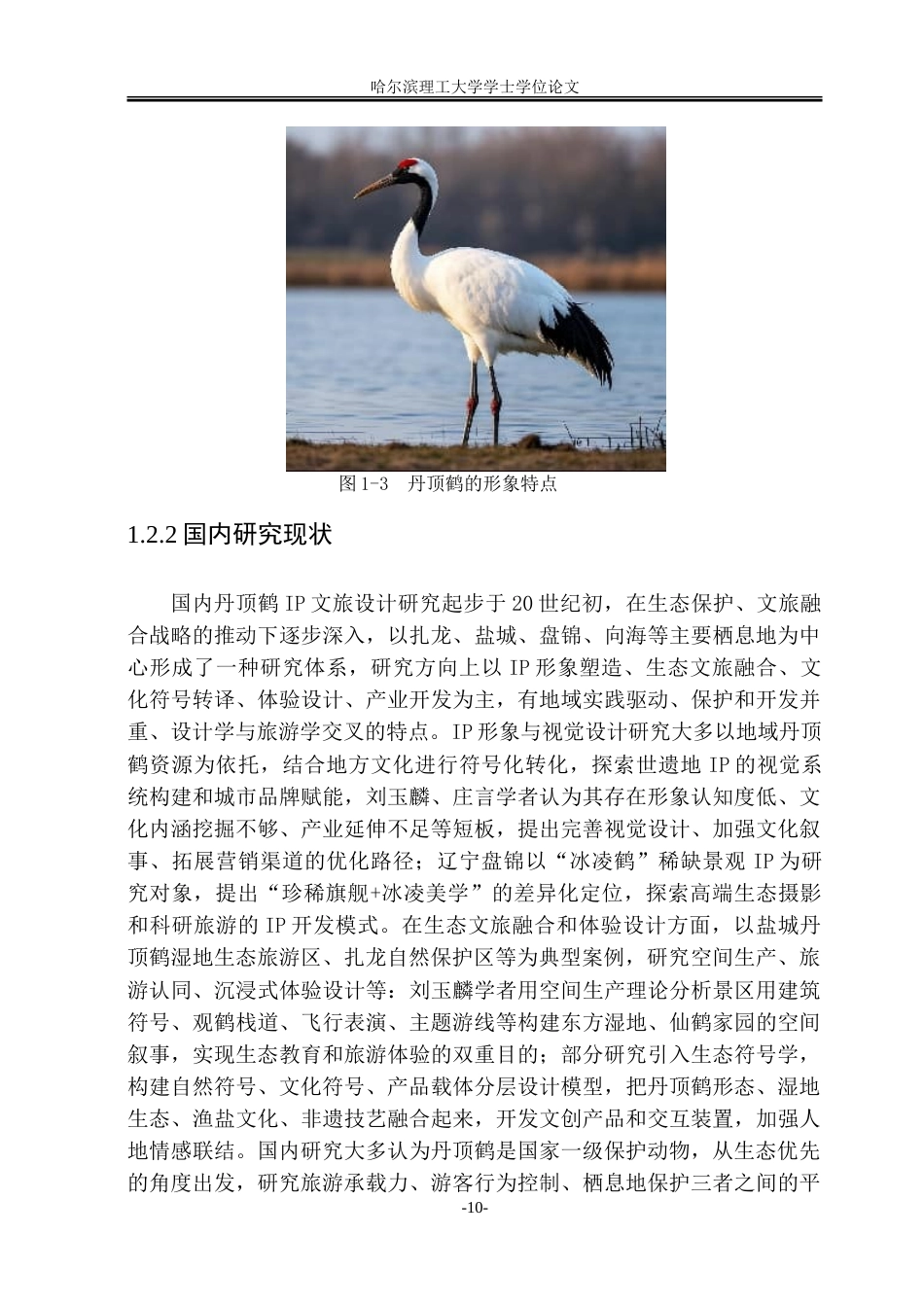 26年WP视觉传达设计 丹顶鹤IP形象设计在扎龙生态旅游品牌中的应用1.49-AI24.3.doc_第10页