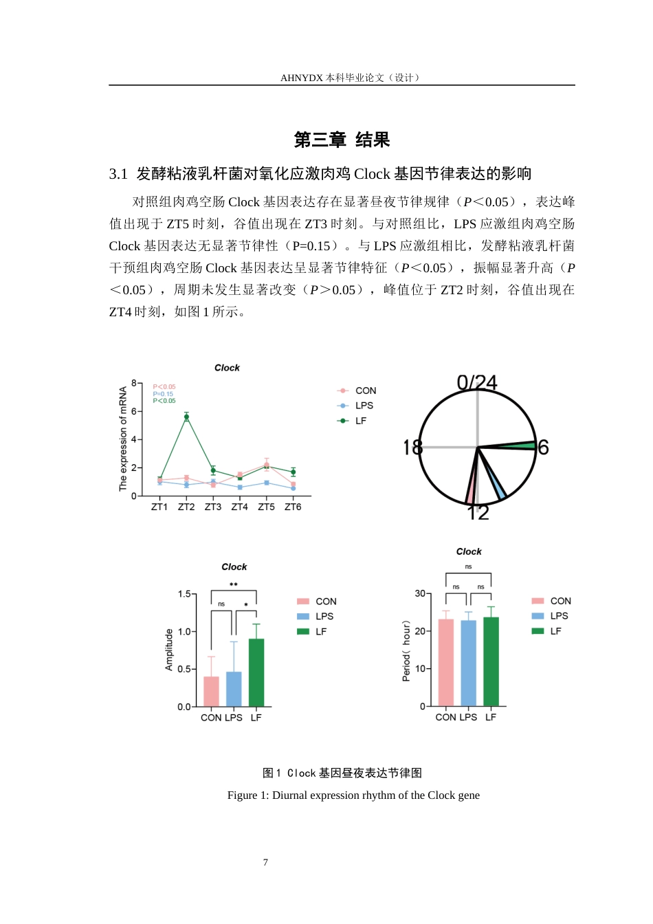 26年WP动物科学 发酵粘液乳杆菌对LPS诱导的氧化应激肉鸡空肠生物钟基因昼夜节律表达的影响14.0-AI通过_1(10128字).docx_第10页