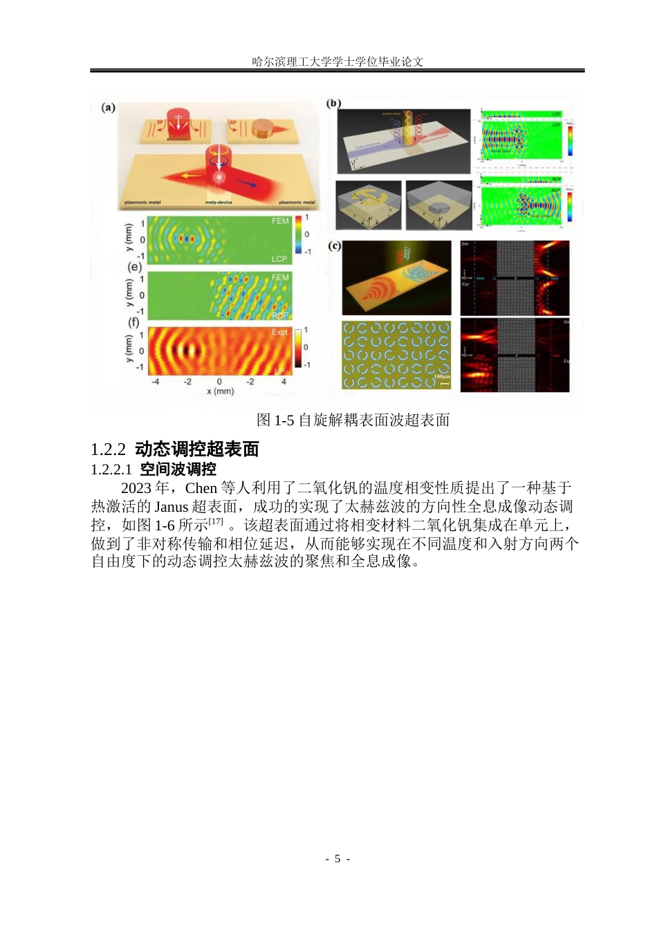 26年WP电子科学与技术 基于太赫兹超表面表面波调控器件研究11.29-AI24.14_1(30878字).docx_第10页