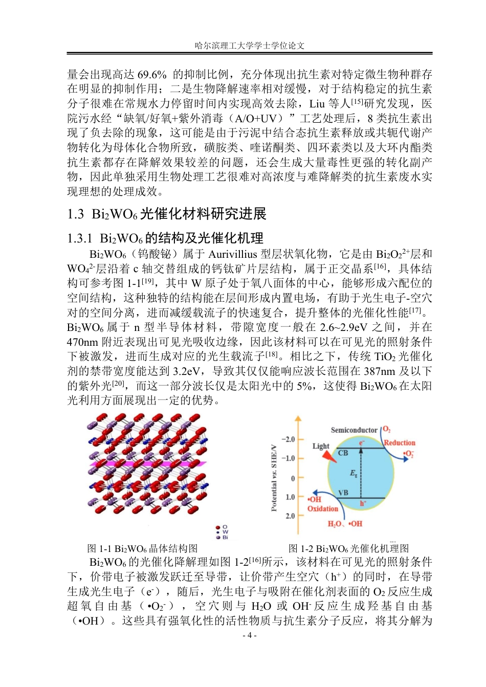 26年WP环境工程 Bi2WO6光催化与微生物协同降解四环素废水的效能研究16.49-AI19.02_1-约42676字符.pdf_第10页