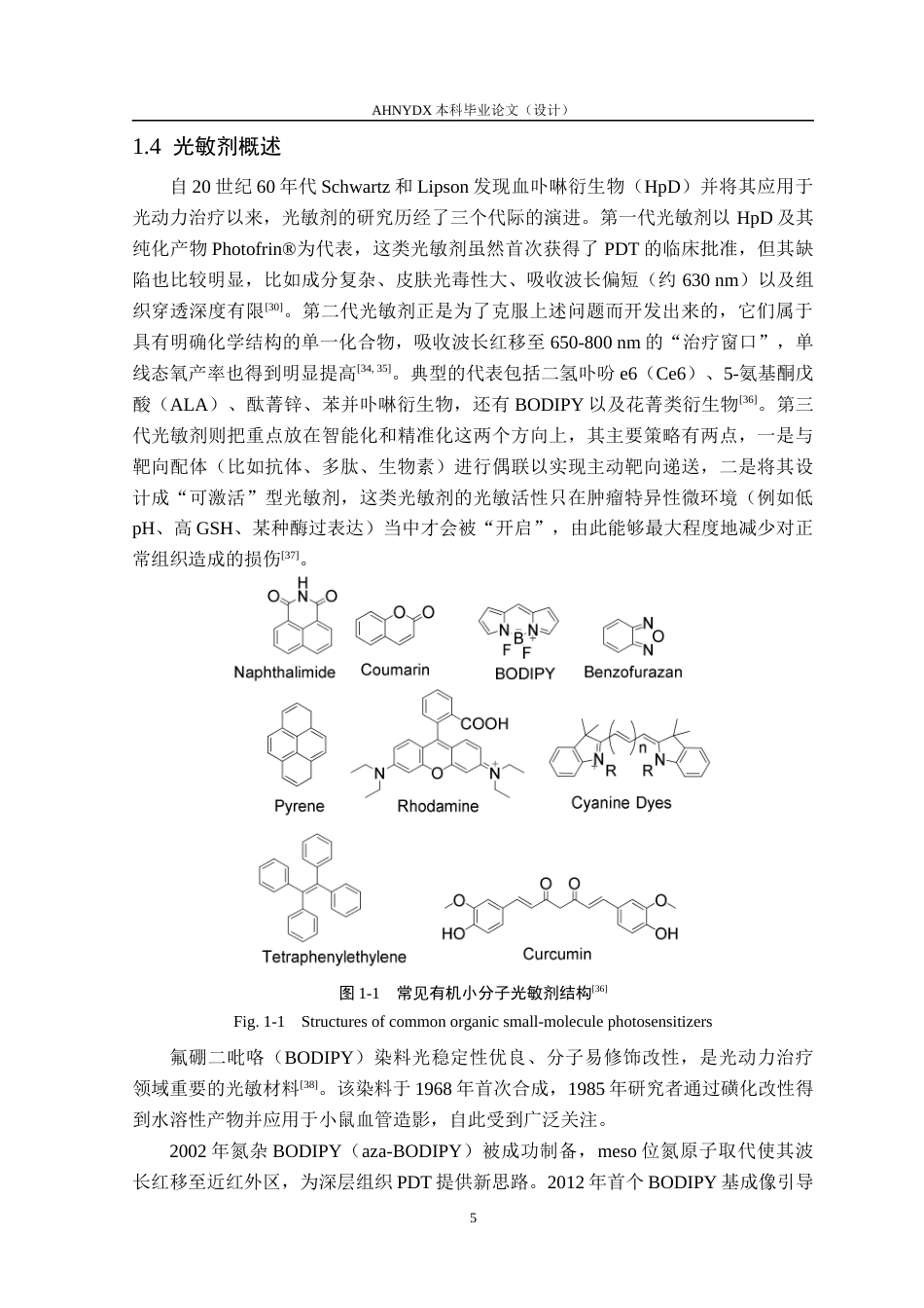 26年WP生物制药 GSH响应光敏剂用于肿瘤靶向治疗13.76-AI通过_1(24556字).docx_第9页