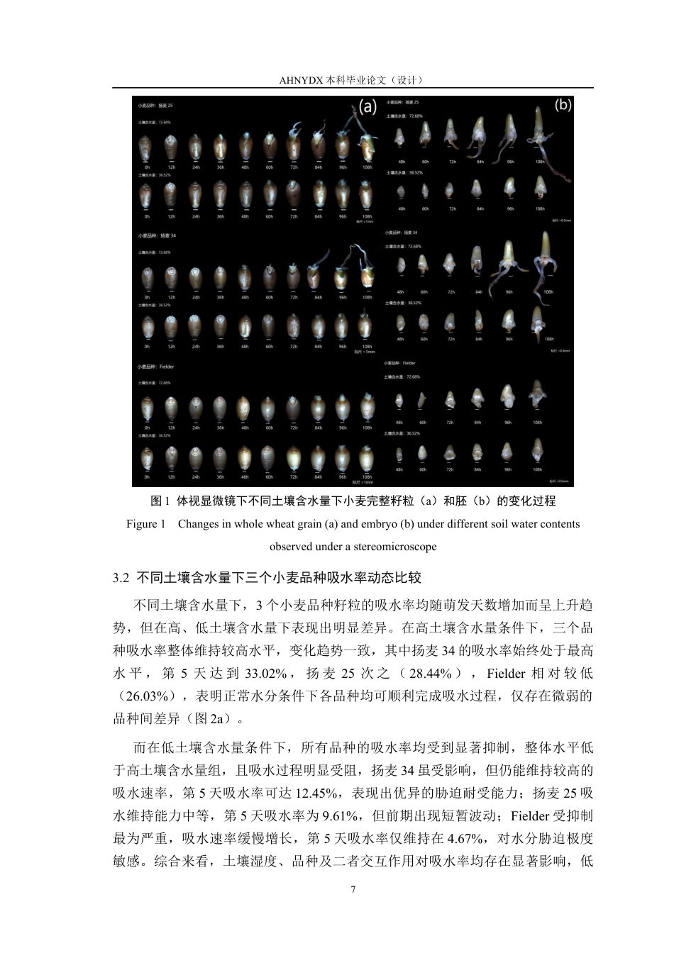26年WP种子科学与工程 土壤湿度对小麦种子萌发特性及品种间内生菌差异影响6.61-AI通过(10568字).docx_第10页